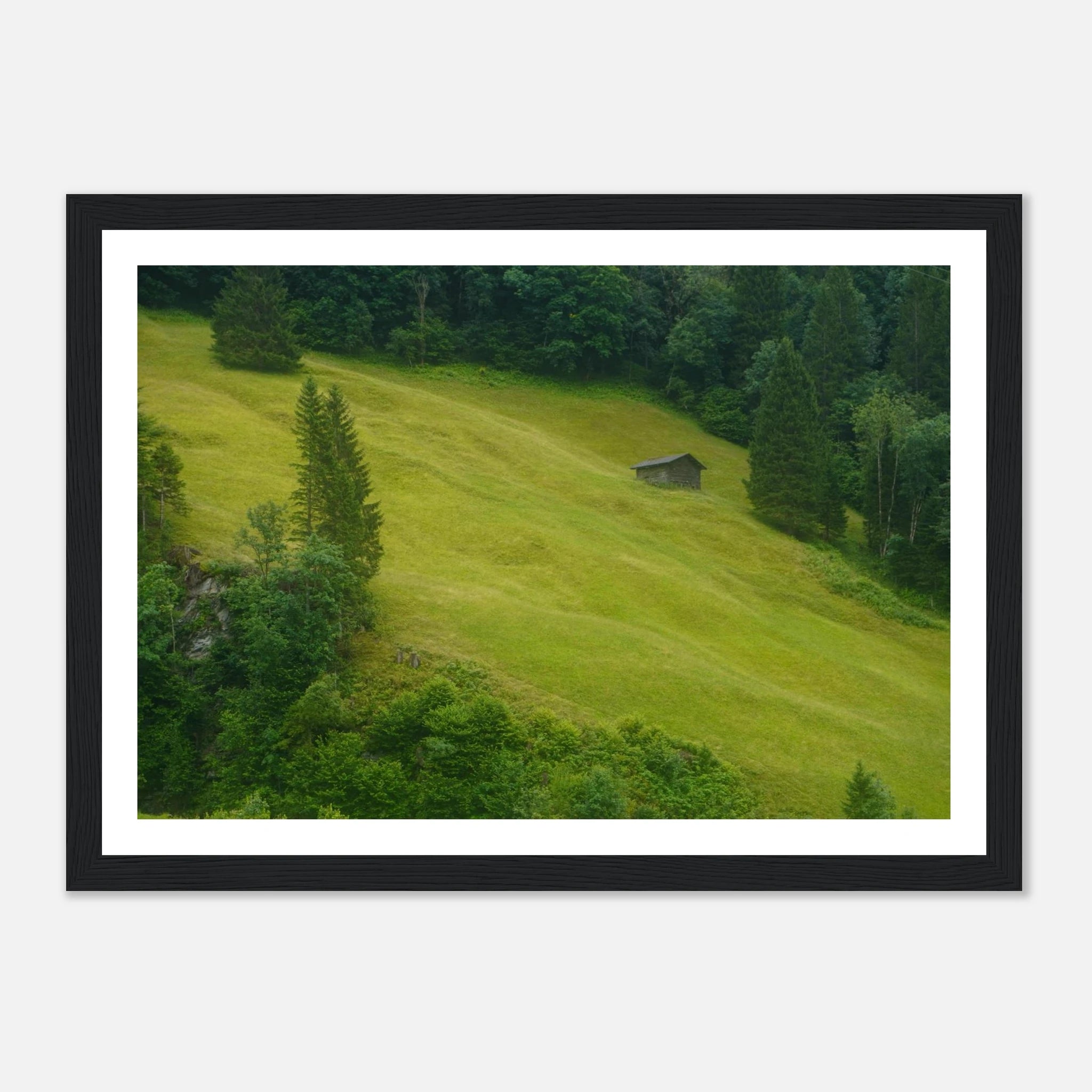 01aae3e8-3d85-4fe2-8ca0-c67f0299baa0