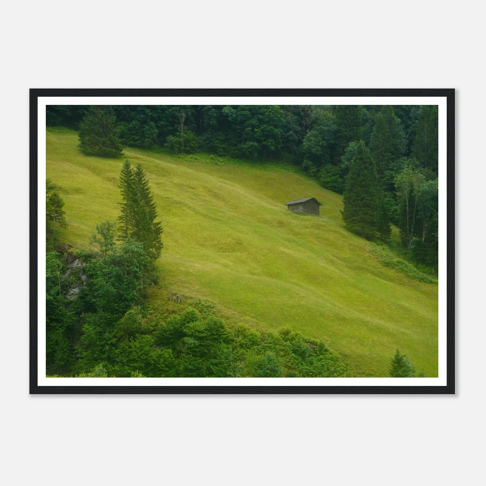 01ba1bca-89c6-4ab7-bdee-0a23bd1bcd5a