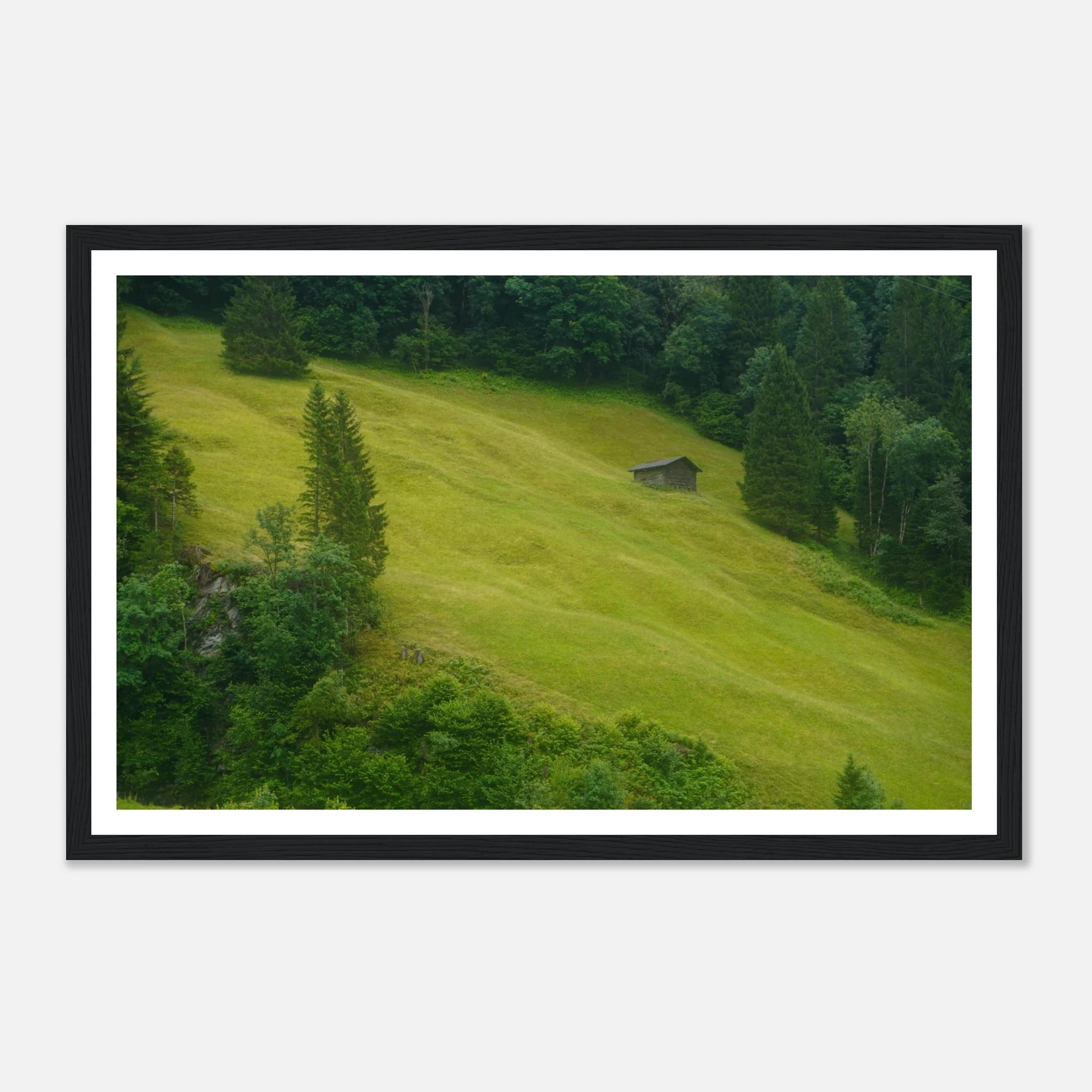 070aae8a-d509-49e0-a74f-1be397ed2c7e