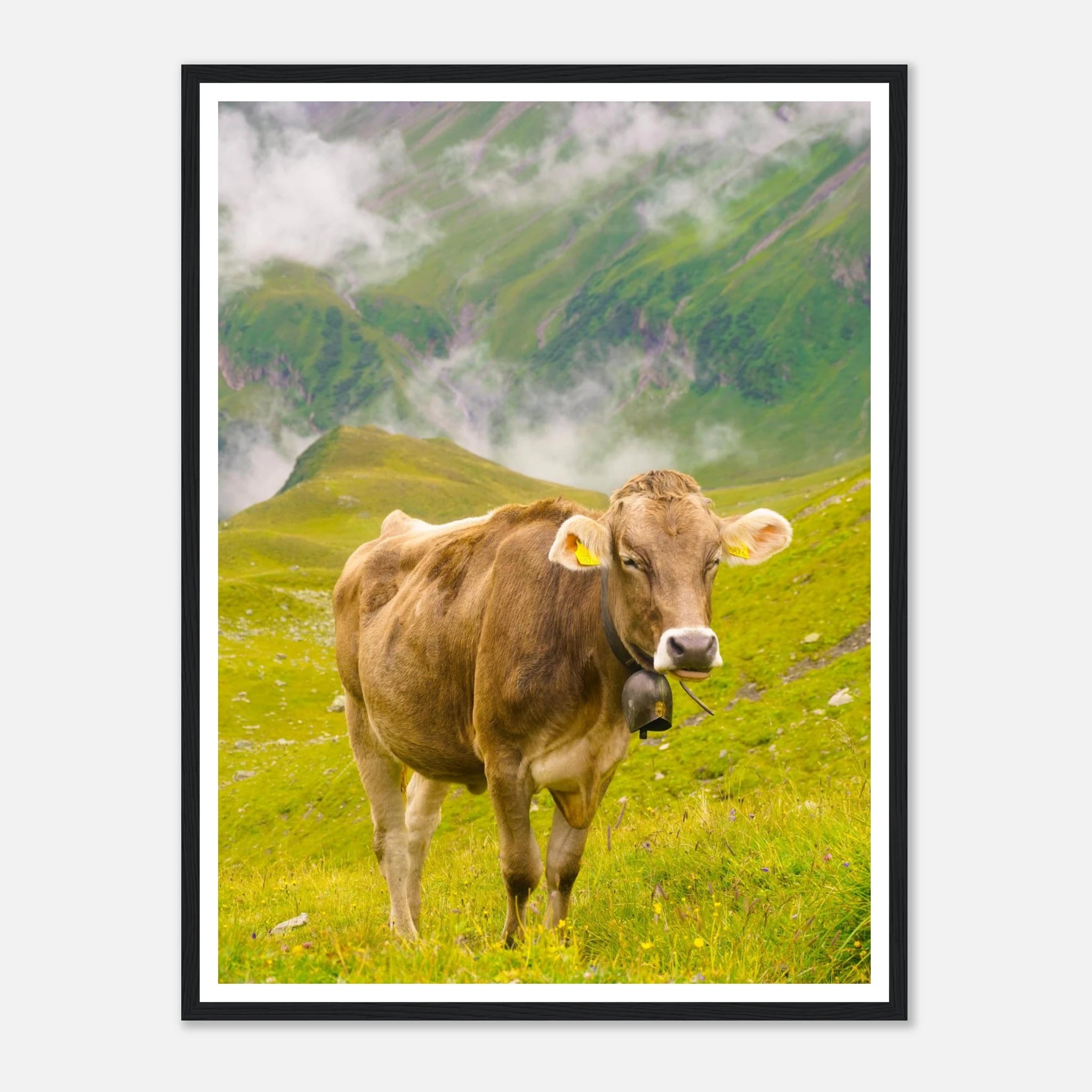 08ccd1a6-5570-4091-9888-7358b8844411