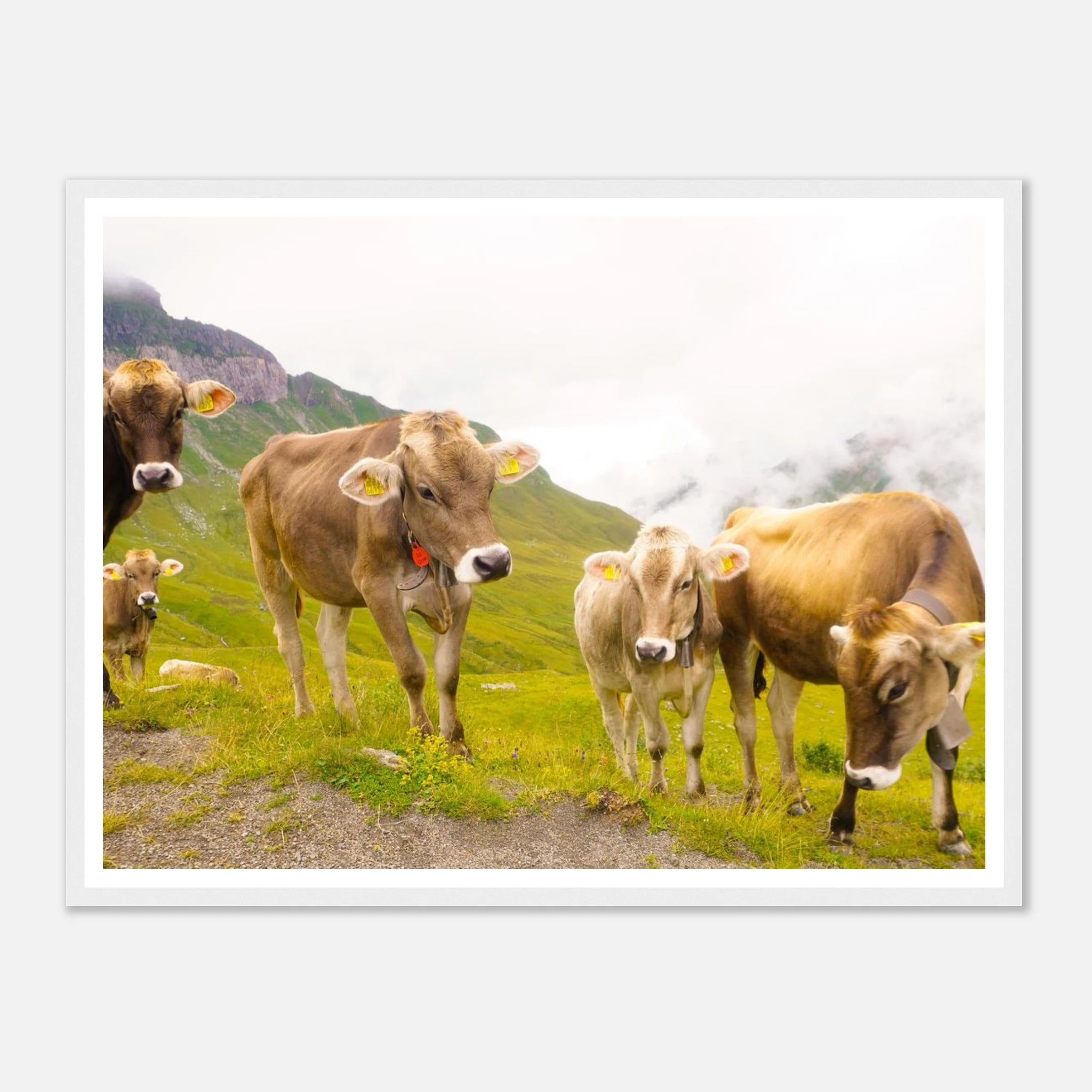 0a95eb1c-6e2b-4087-8c5a-9388859e59e9