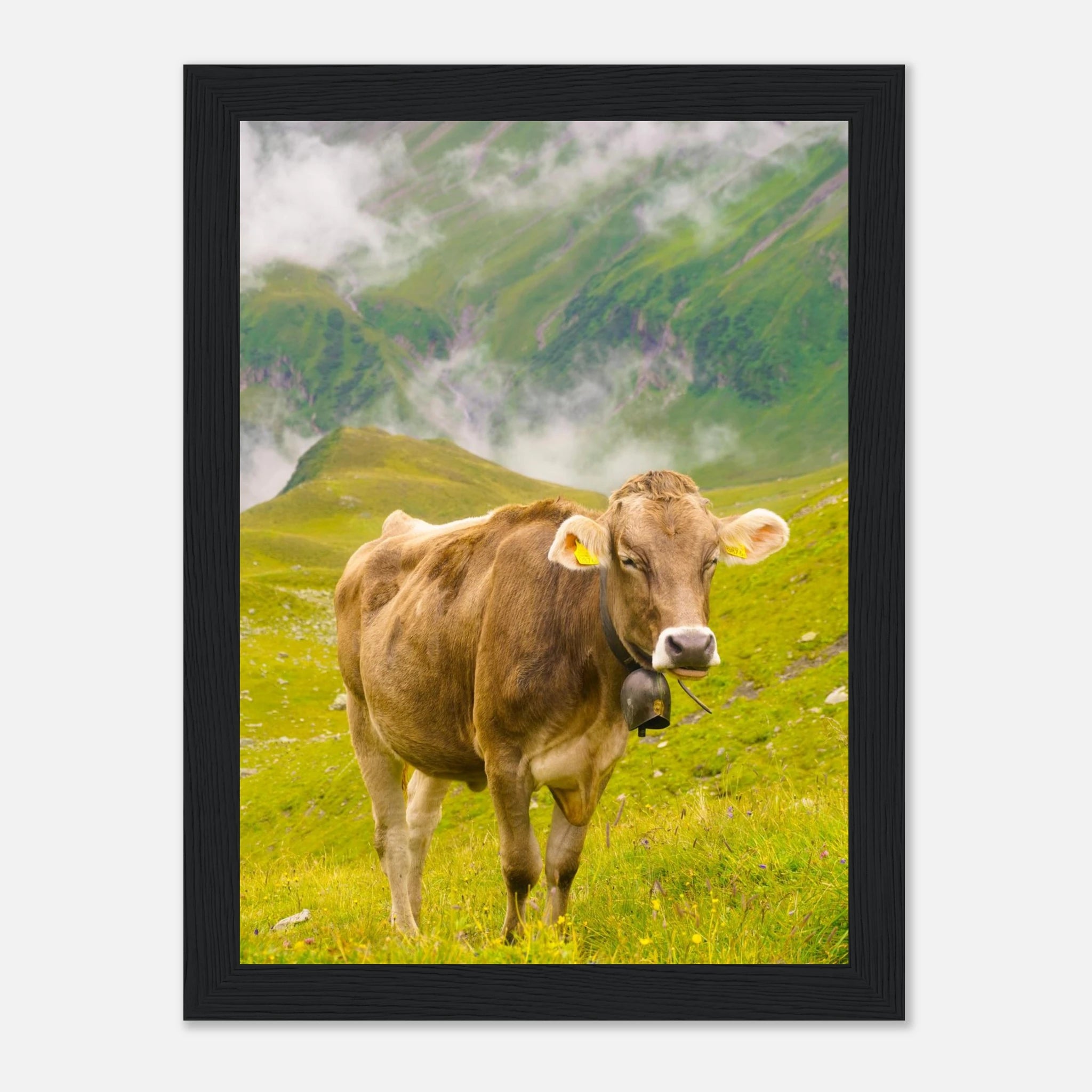 0e38bd29-242f-4773-92f3-b5ccf3011436