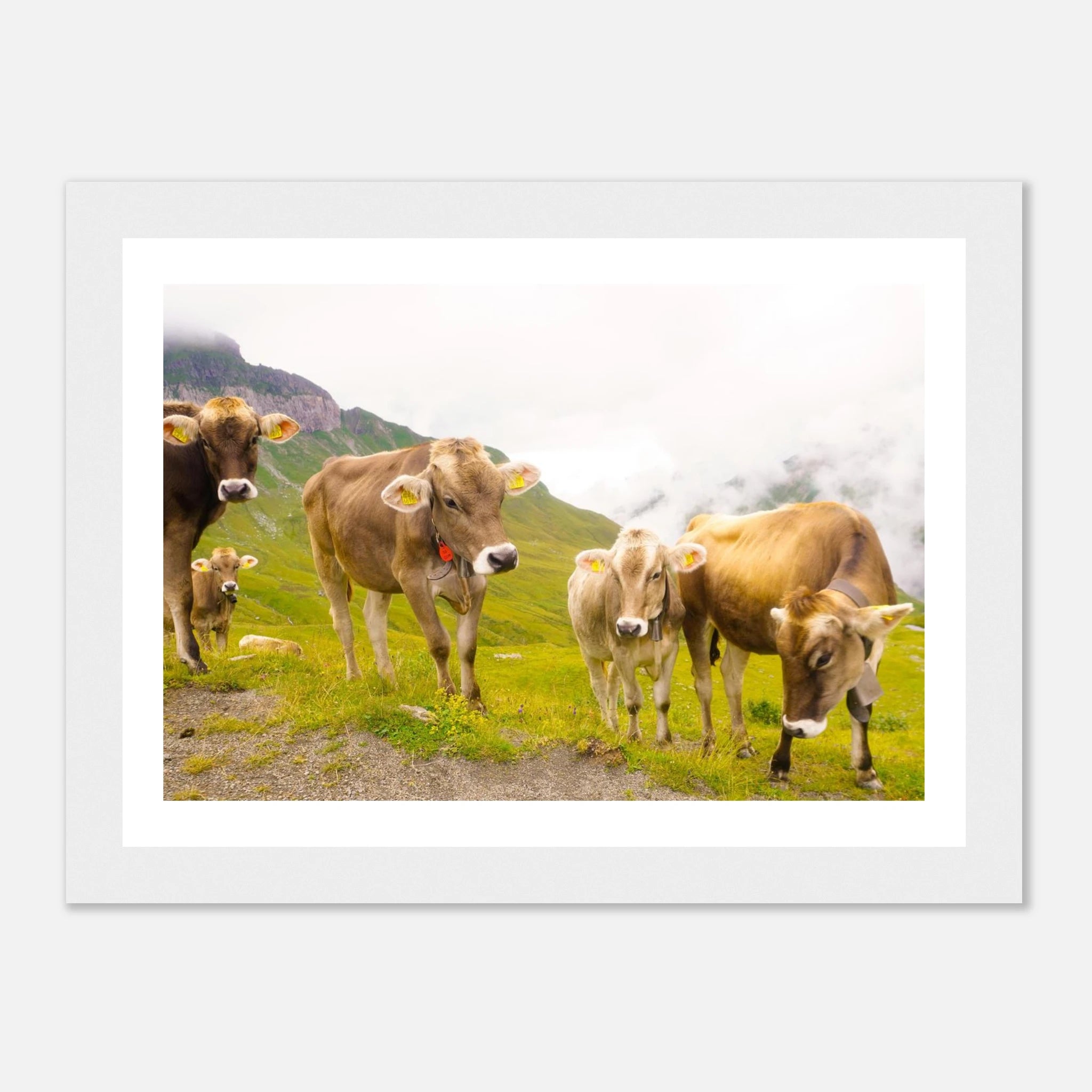 0f1f9f74-c651-436a-81c7-3dd656d26f6d