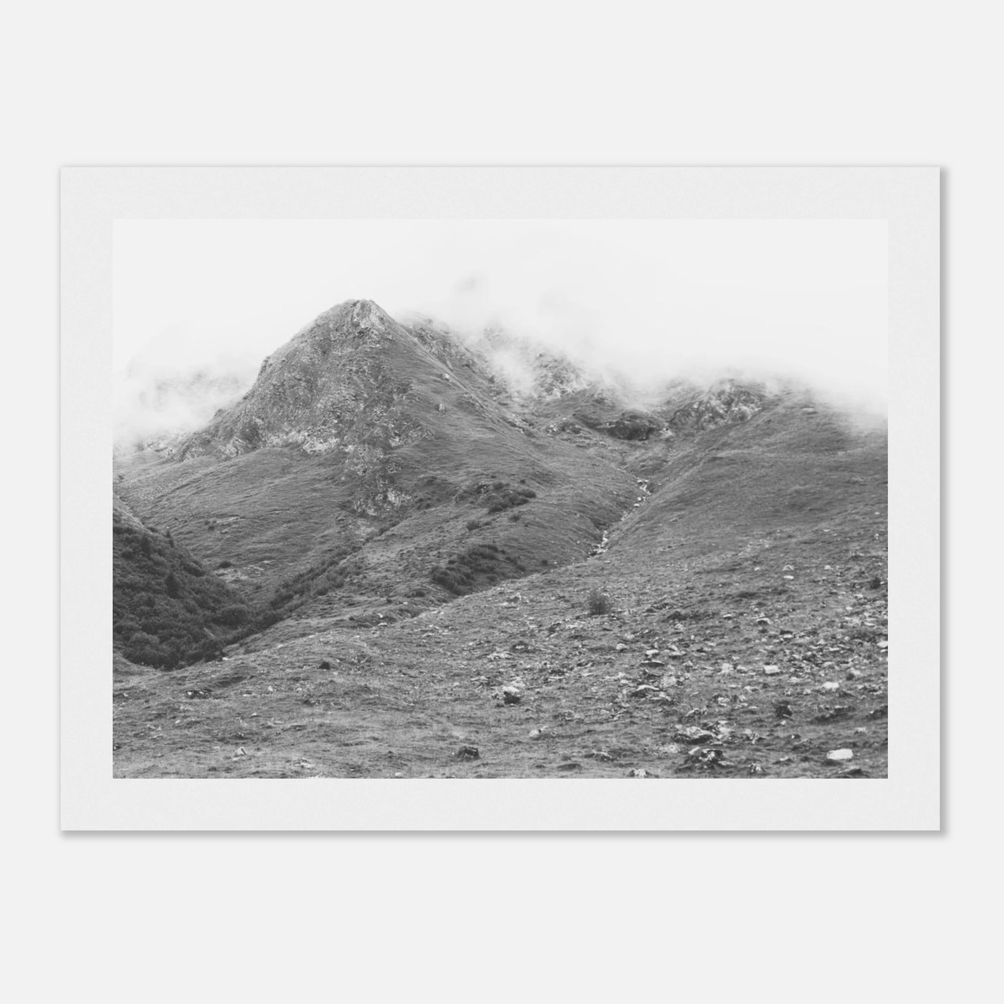 13456cd5-abfb-441c-b566-804fb6b3d0b6