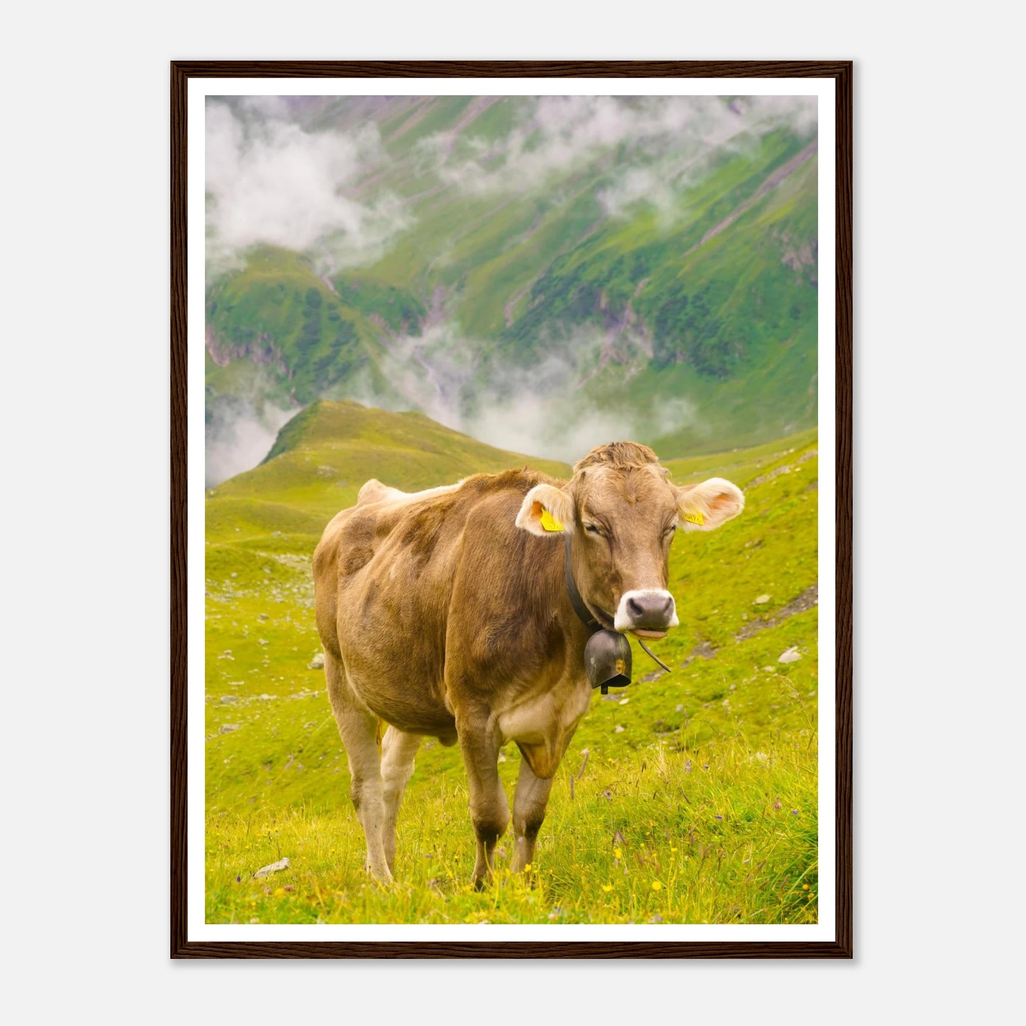 1c3ca6b6-8e54-4912-9296-4a180e5e74b7