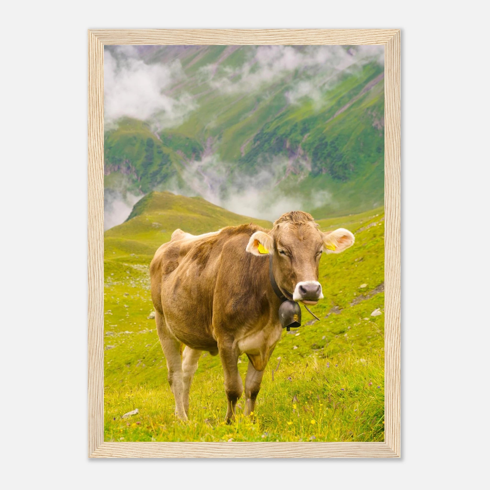 1f6fc83e-5866-4e10-bd8d-797bbb1f833e