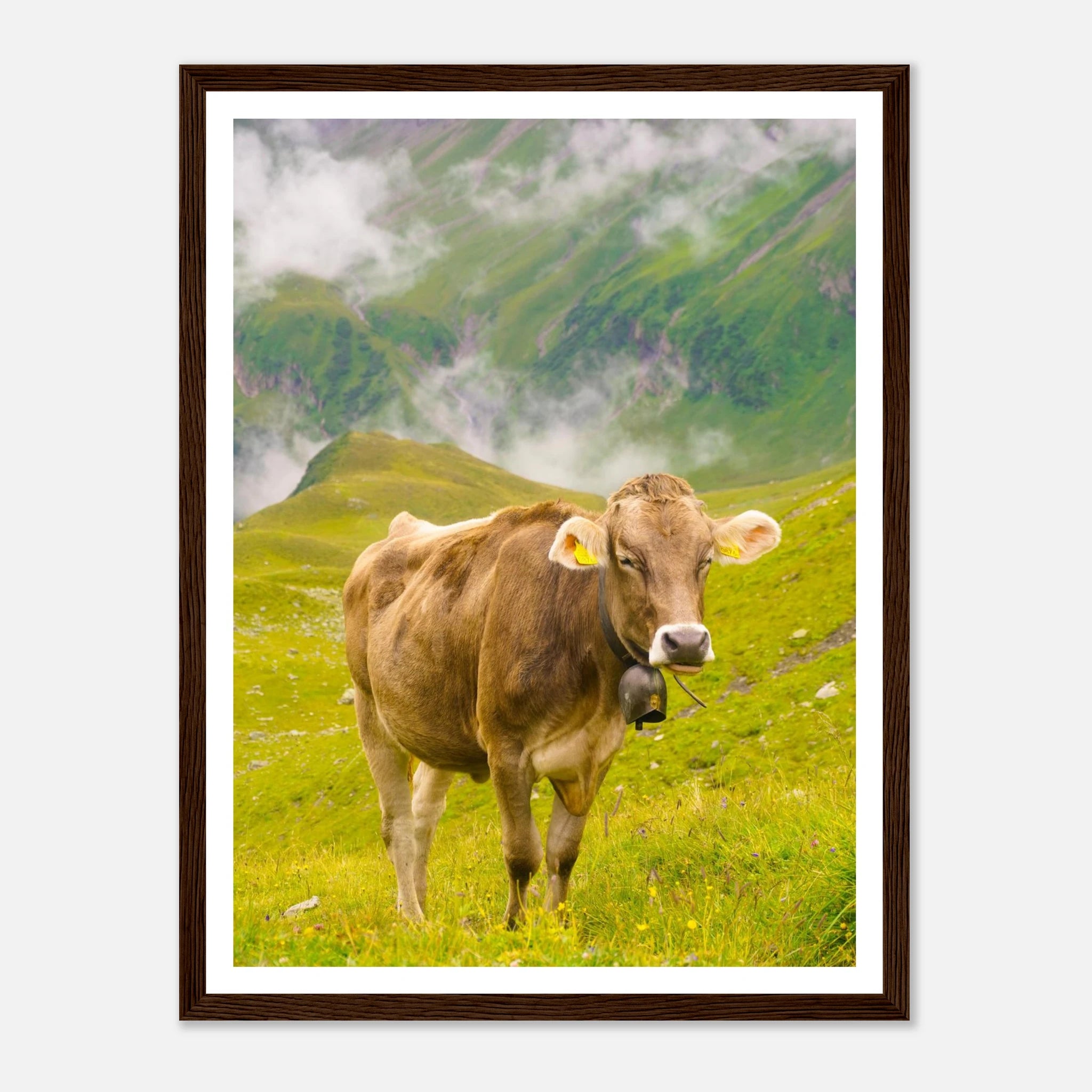 22174ef1-6c59-434e-84c1-2fca3ccd9950