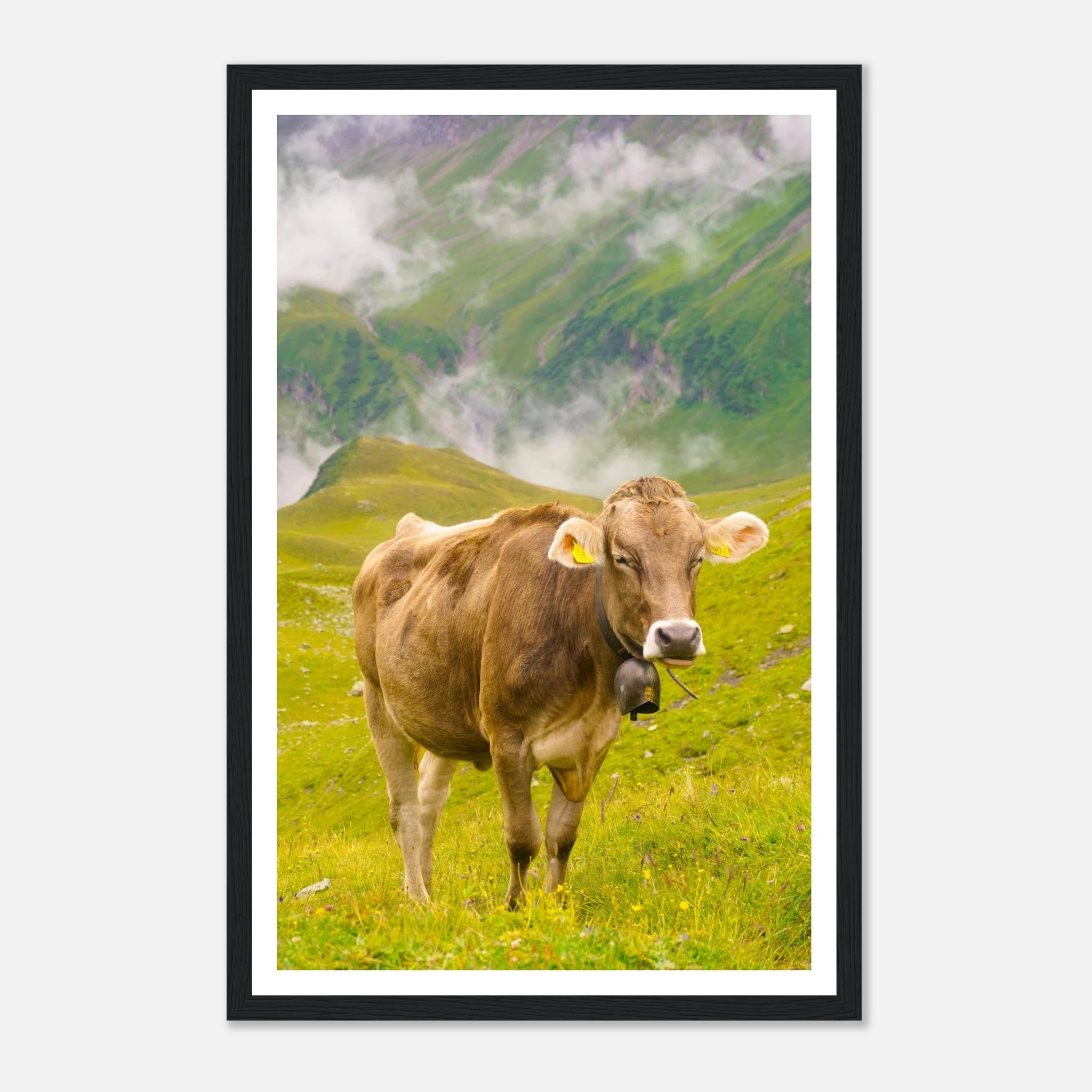 23425b17-65d0-4e40-ab8d-0b0e67174cdd