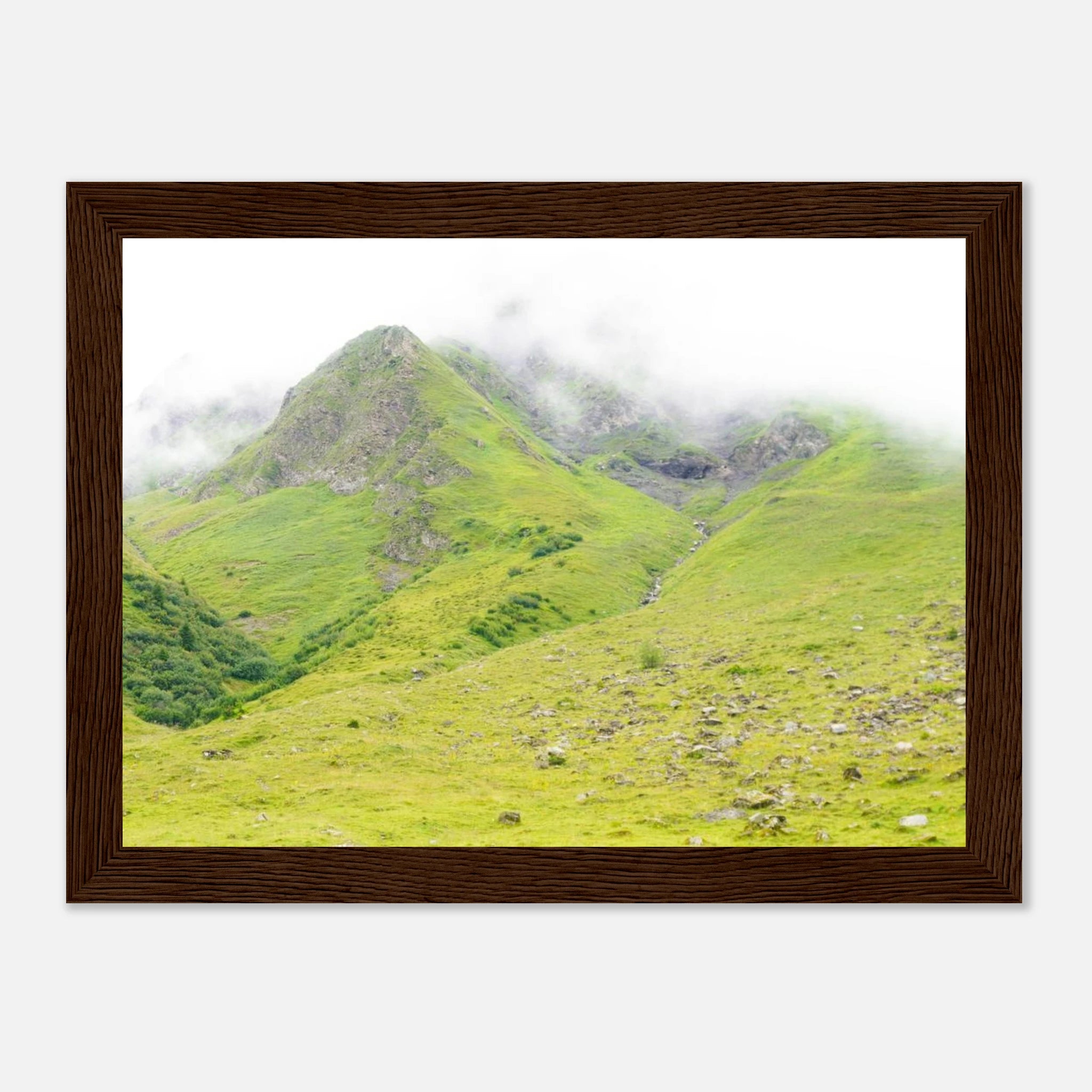 2718b1d1-584b-4419-80e9-357b766c76e3