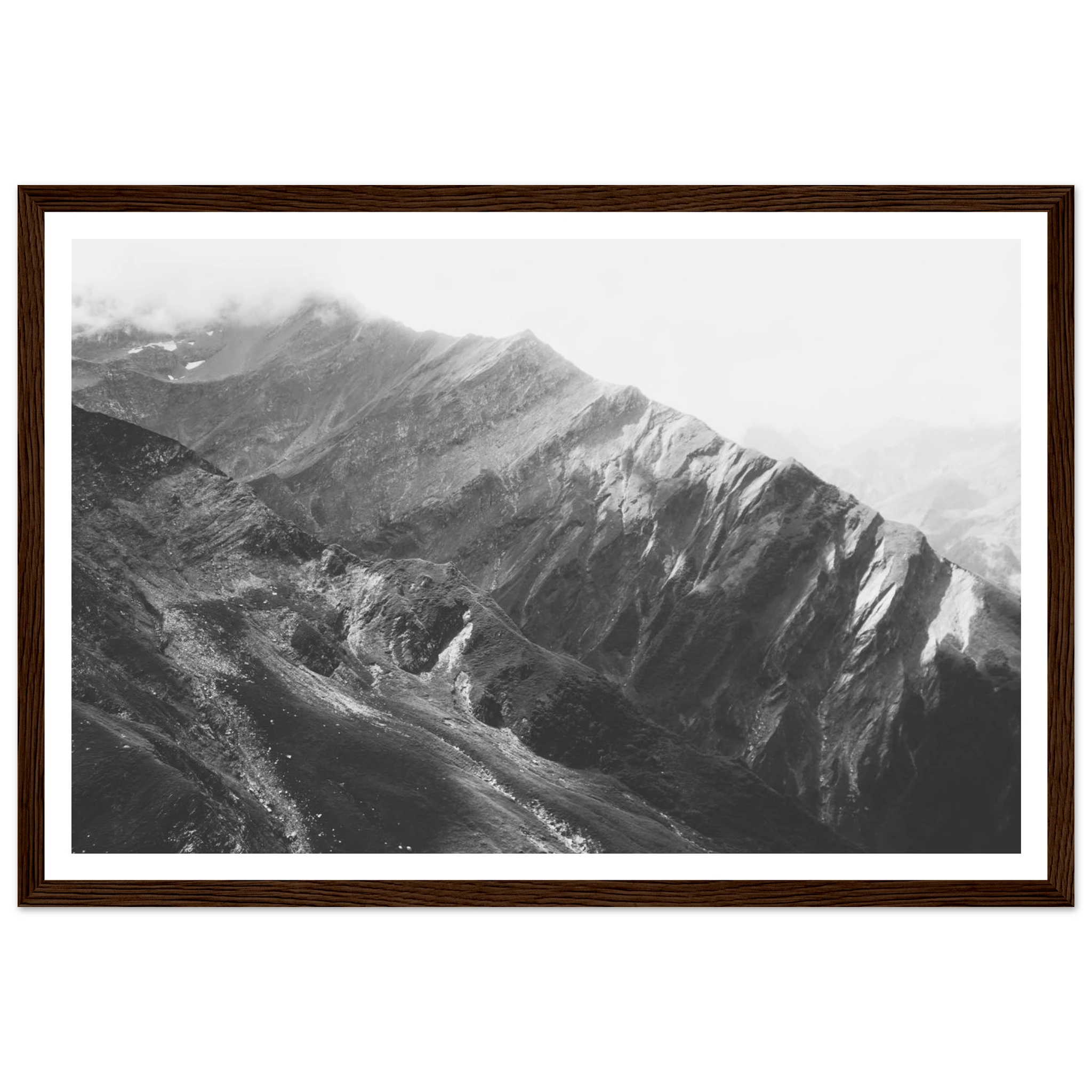 272f88d9-0d03-47c8-919b-d949c8415c36