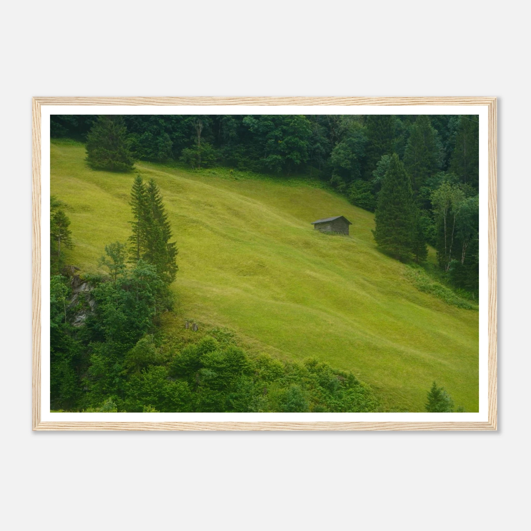 34178d0c-c451-4a2a-ae73-8949fb4f7f70