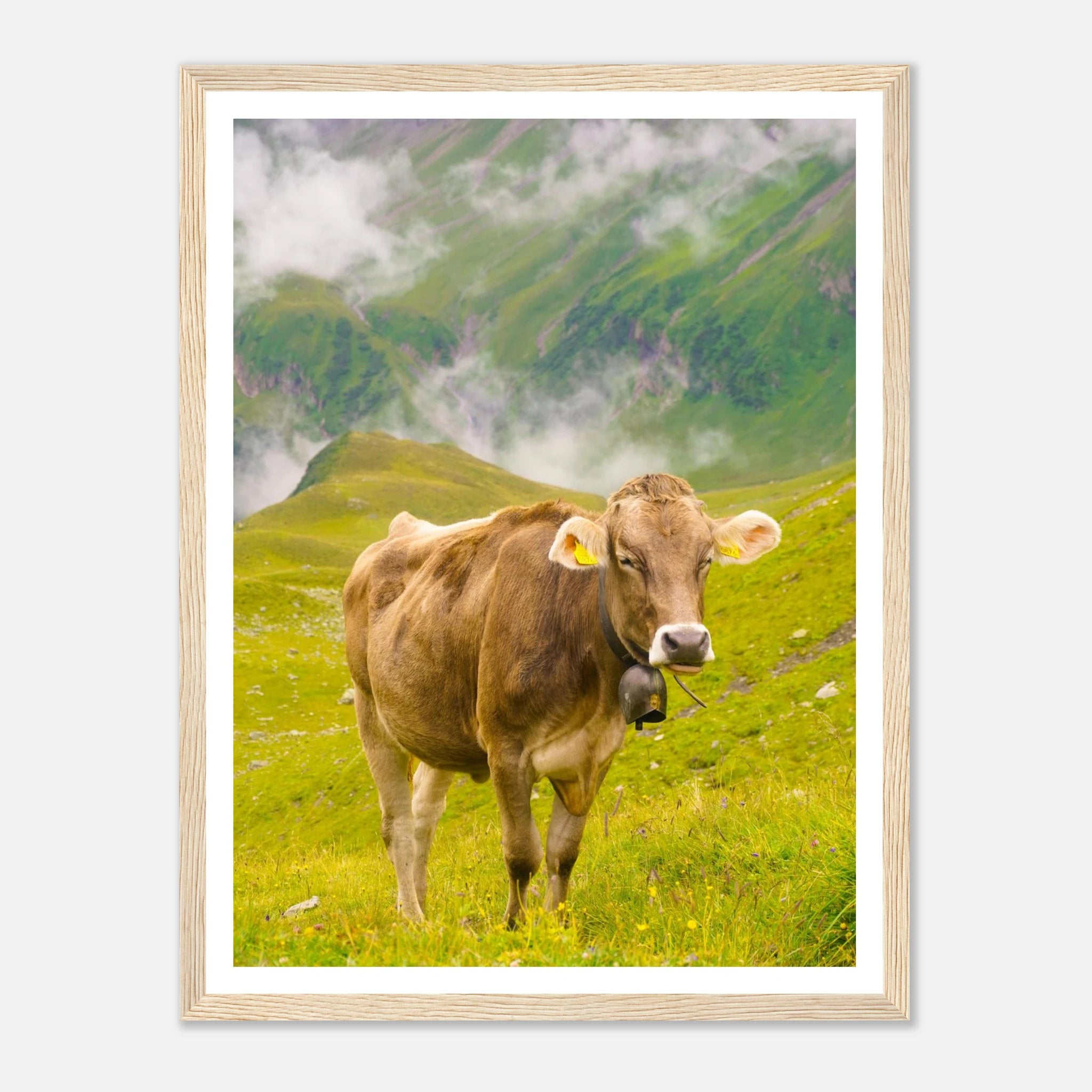 3da3cb15-1879-4b57-9e33-fc2c8399098b