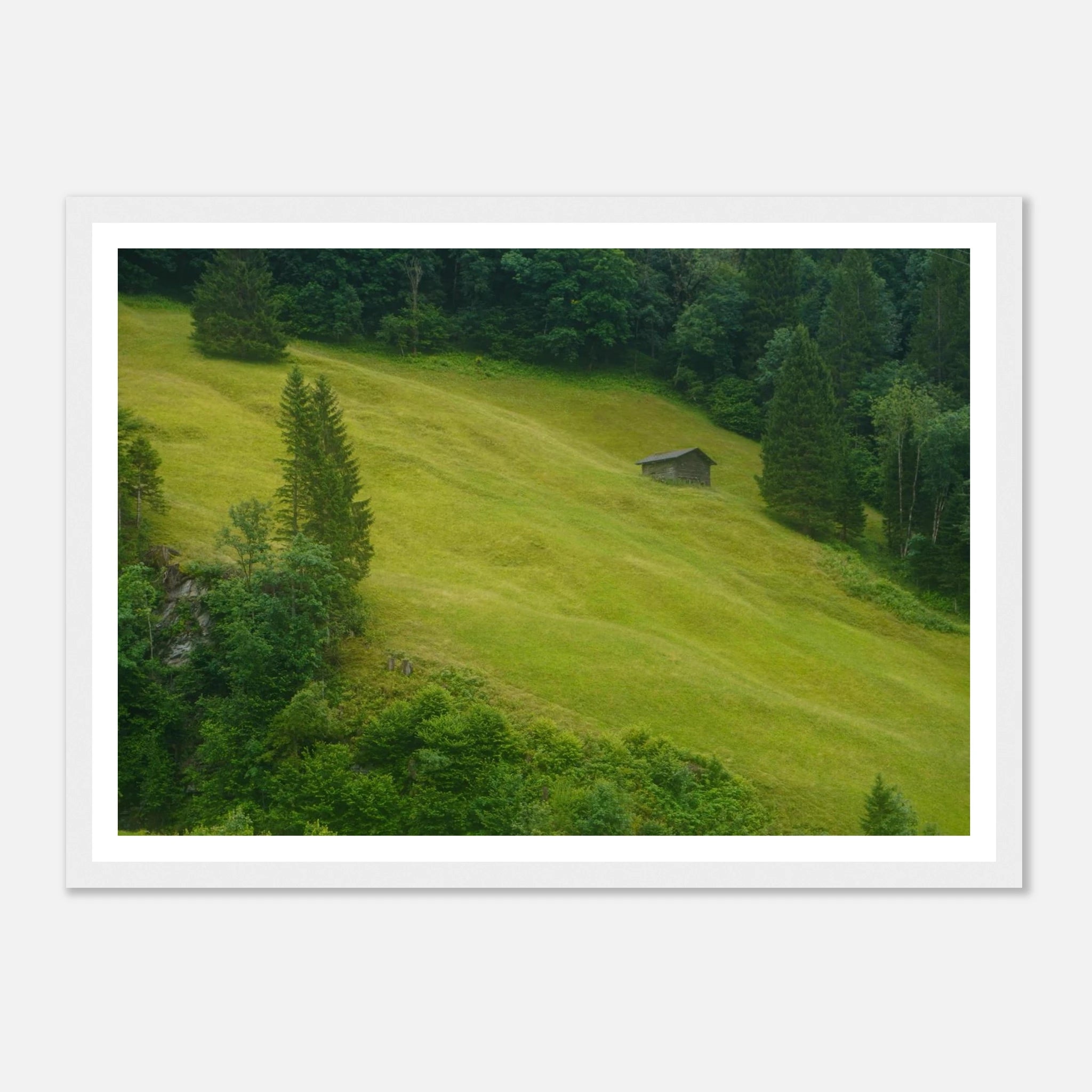 444433a3-f8e6-4ac5-af6e-ef849288e090