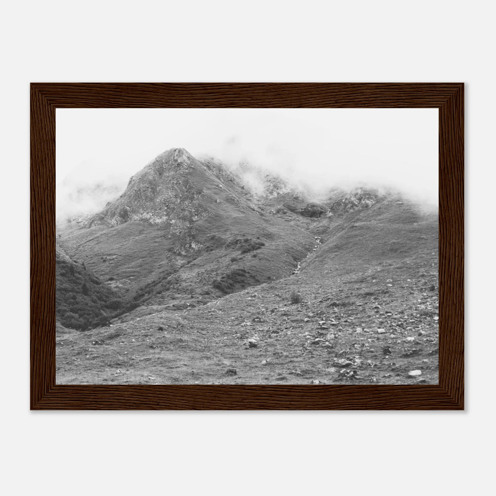 45d20c89-e261-49a0-bed4-f16c0f12584a