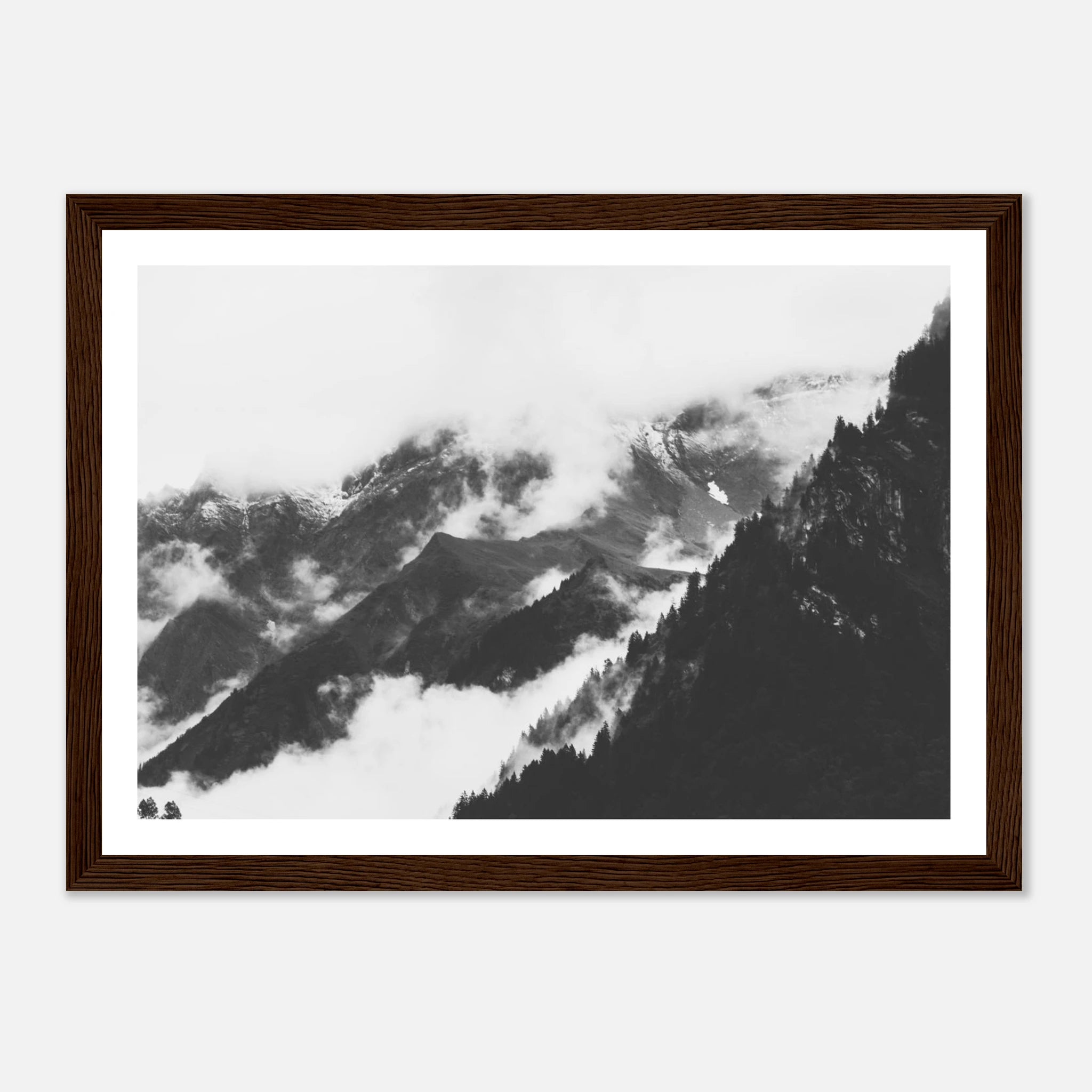 48838779-84b9-44f8-85fc-f065f6b38c1b