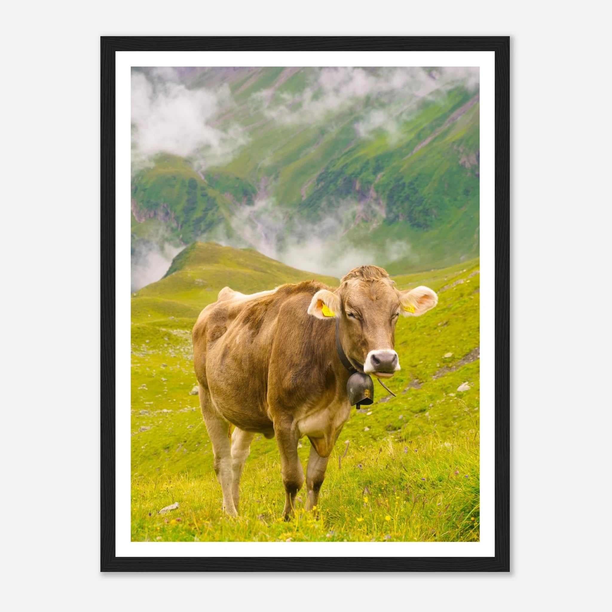 49704a99-8fc8-47f7-a089-f3db84c0329d