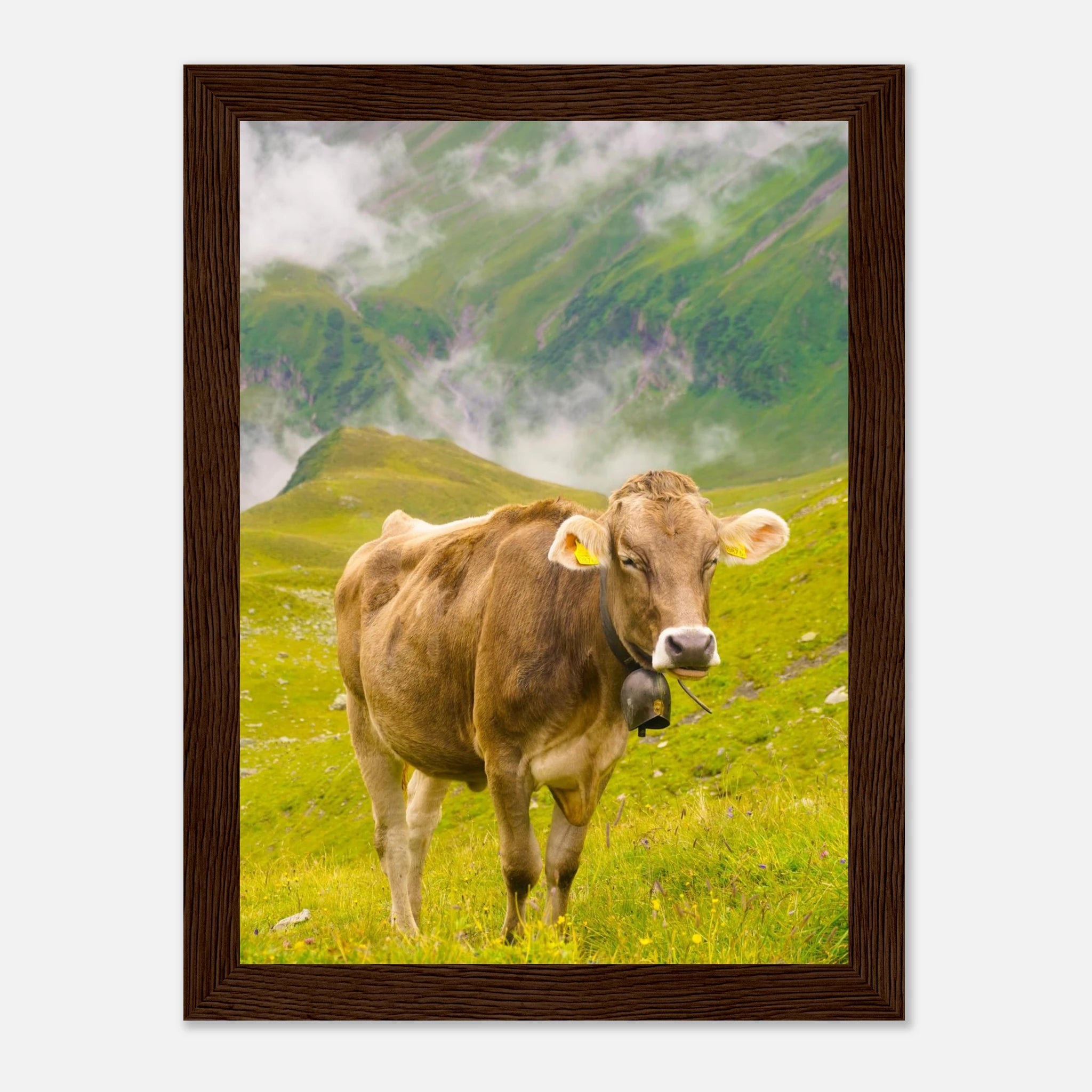 498508cc-5ca0-4e25-933b-f3dde7393dd2