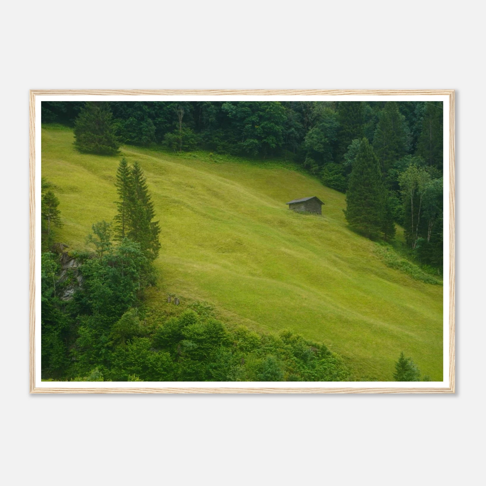 4b4b36fc-b5fe-4430-a608-7e2ae26c2954