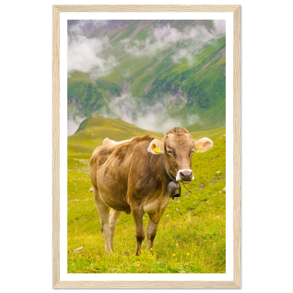 4f0d97ff-b3c8-43ea-ab61-e43ba2b955dc