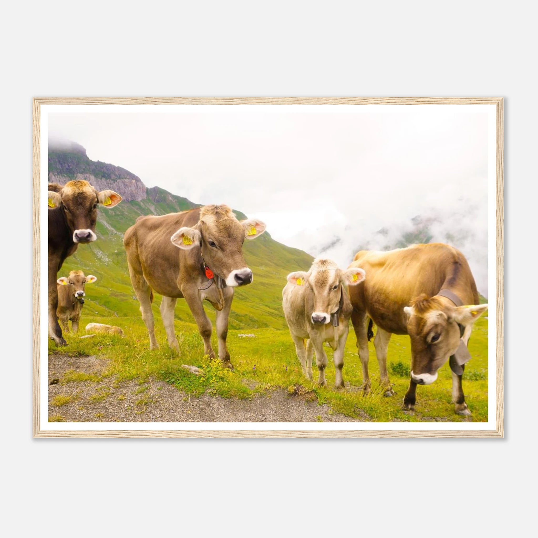 551d256a-ad86-4dca-bf33-30e4c2674ce8