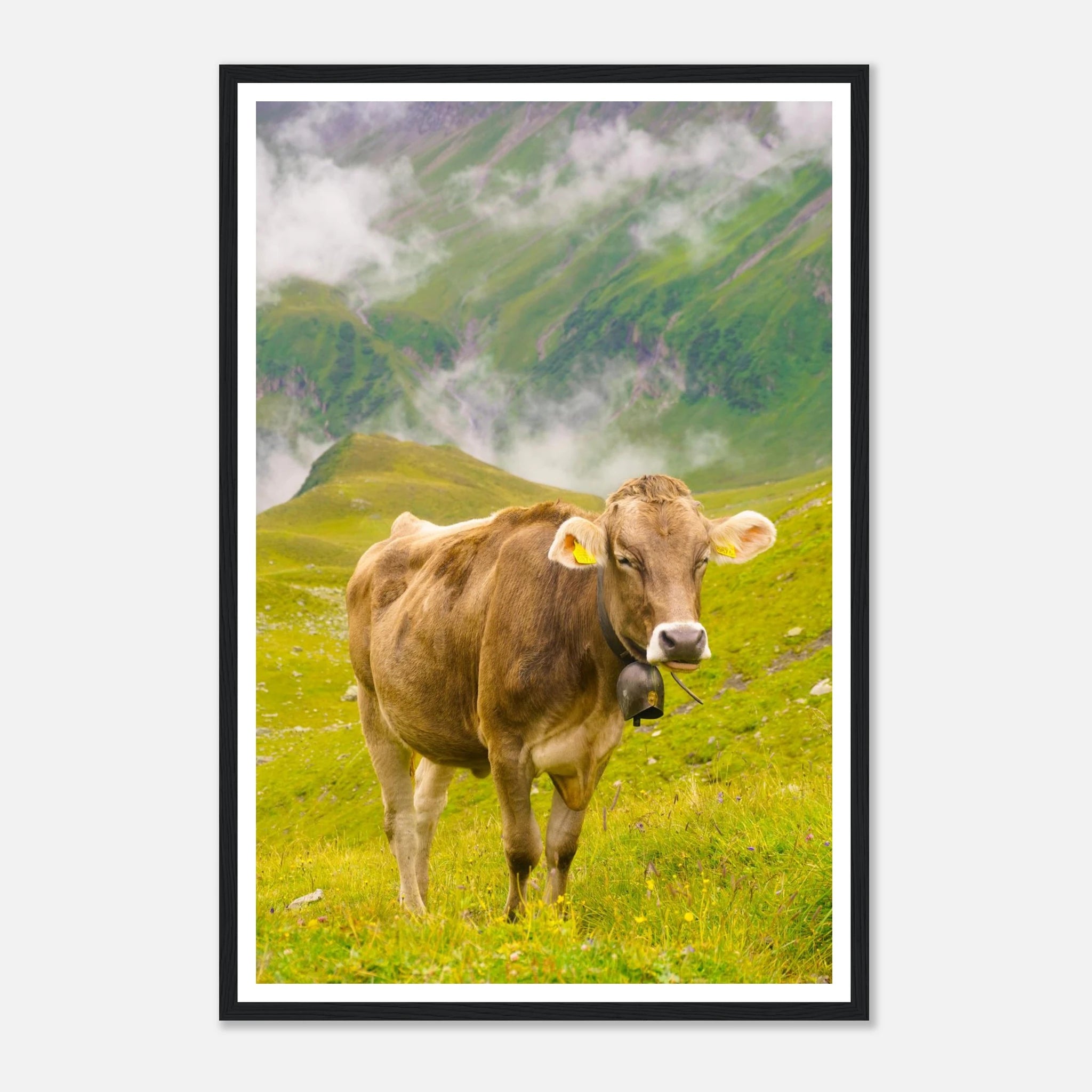 59f66969-d817-4b83-b9ca-ee694937976c