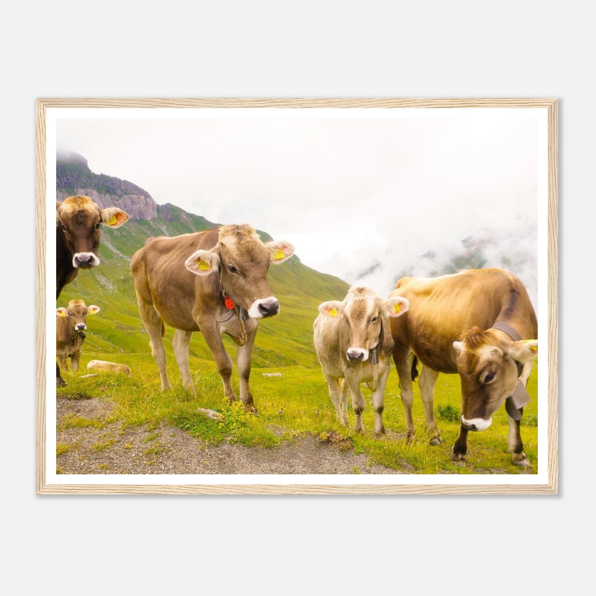 5e411ea0-07d7-4d0a-8a4c-c681893dfacf