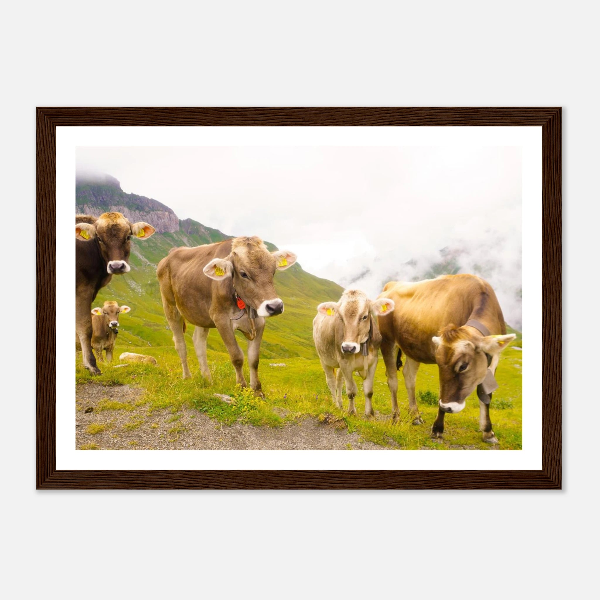 62364e9d-3ac5-4aed-b782-6013d4617d56