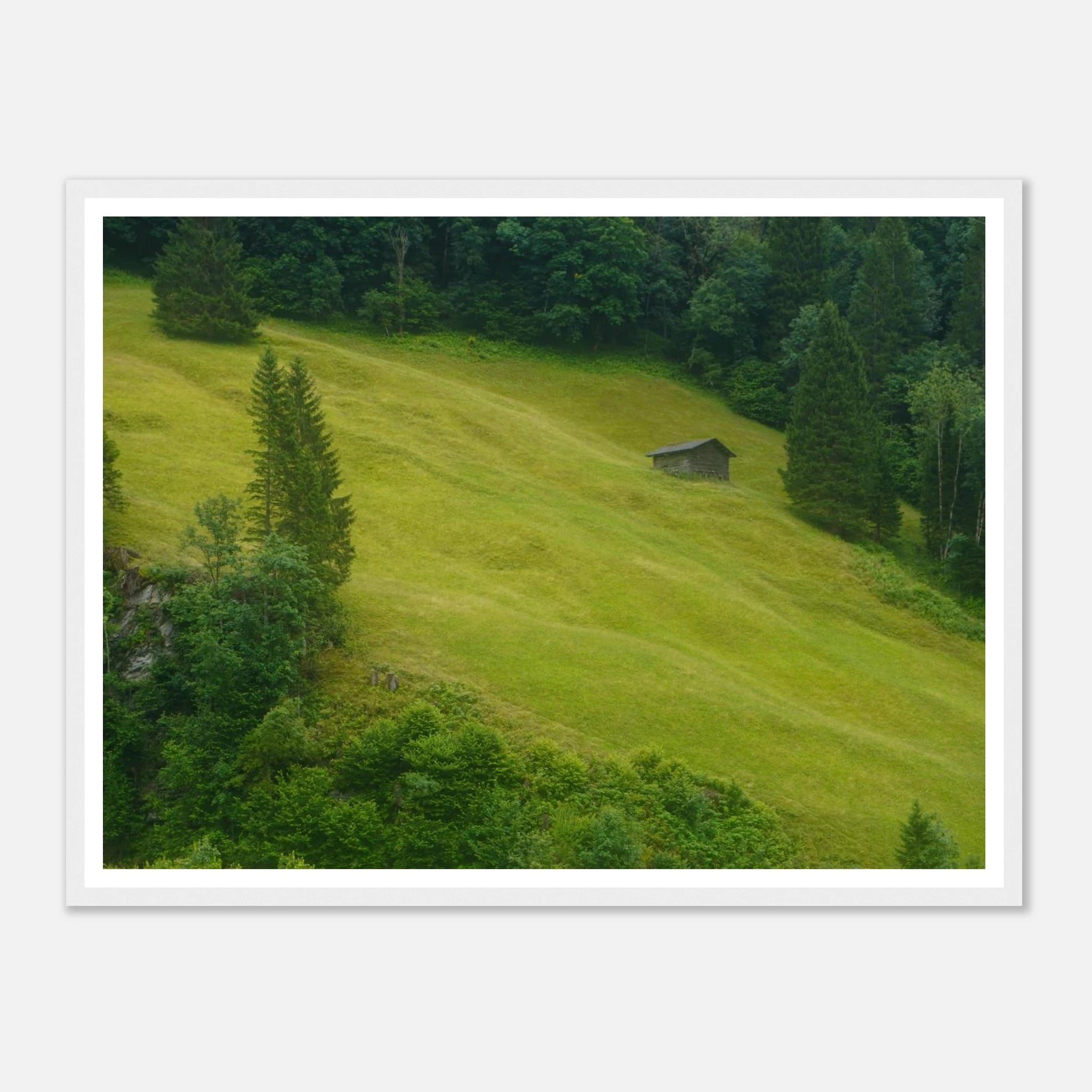 6253f3bc-9a9f-4240-827c-6a67010a59bd