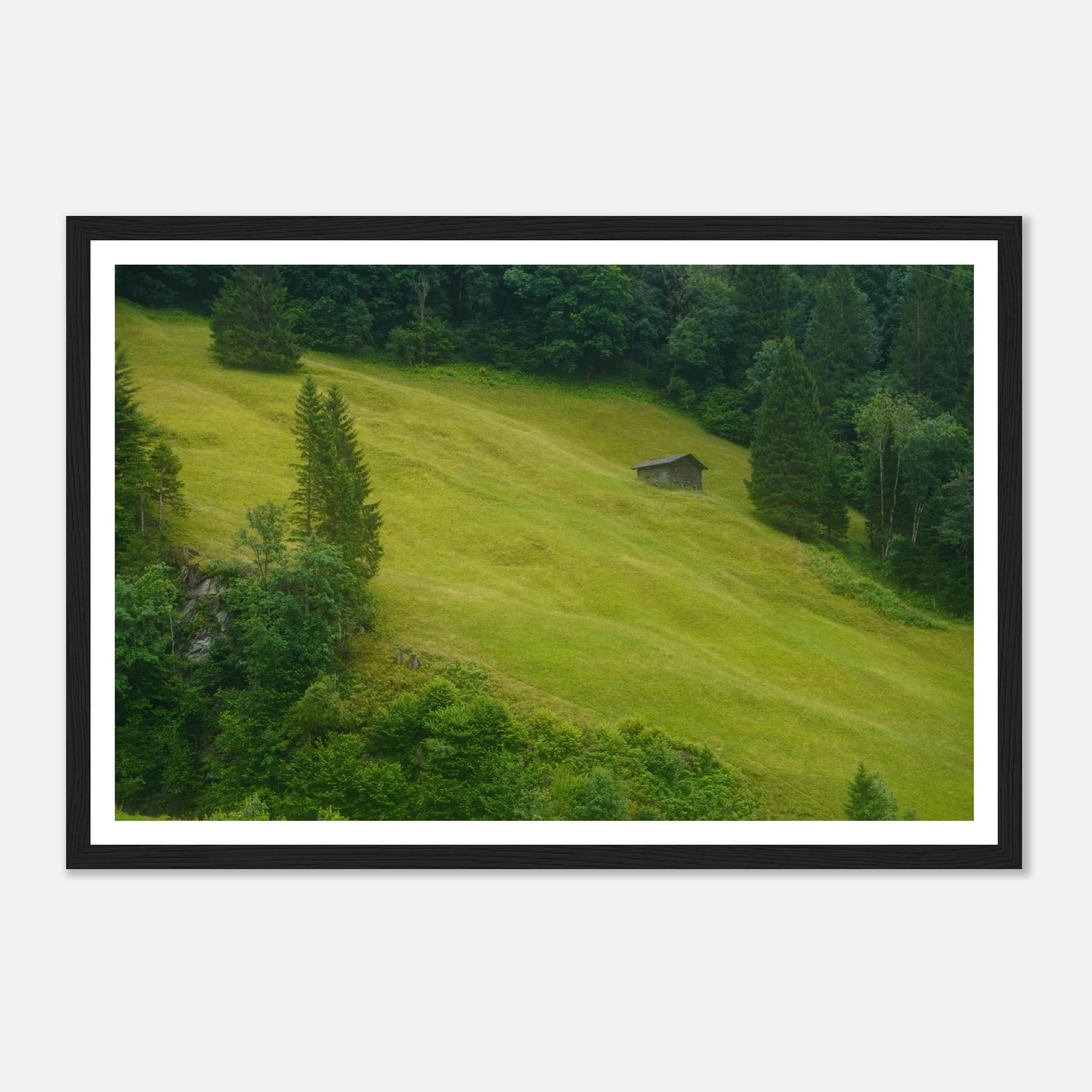 64286c25-ccad-4d8d-a367-e6c253380fb9