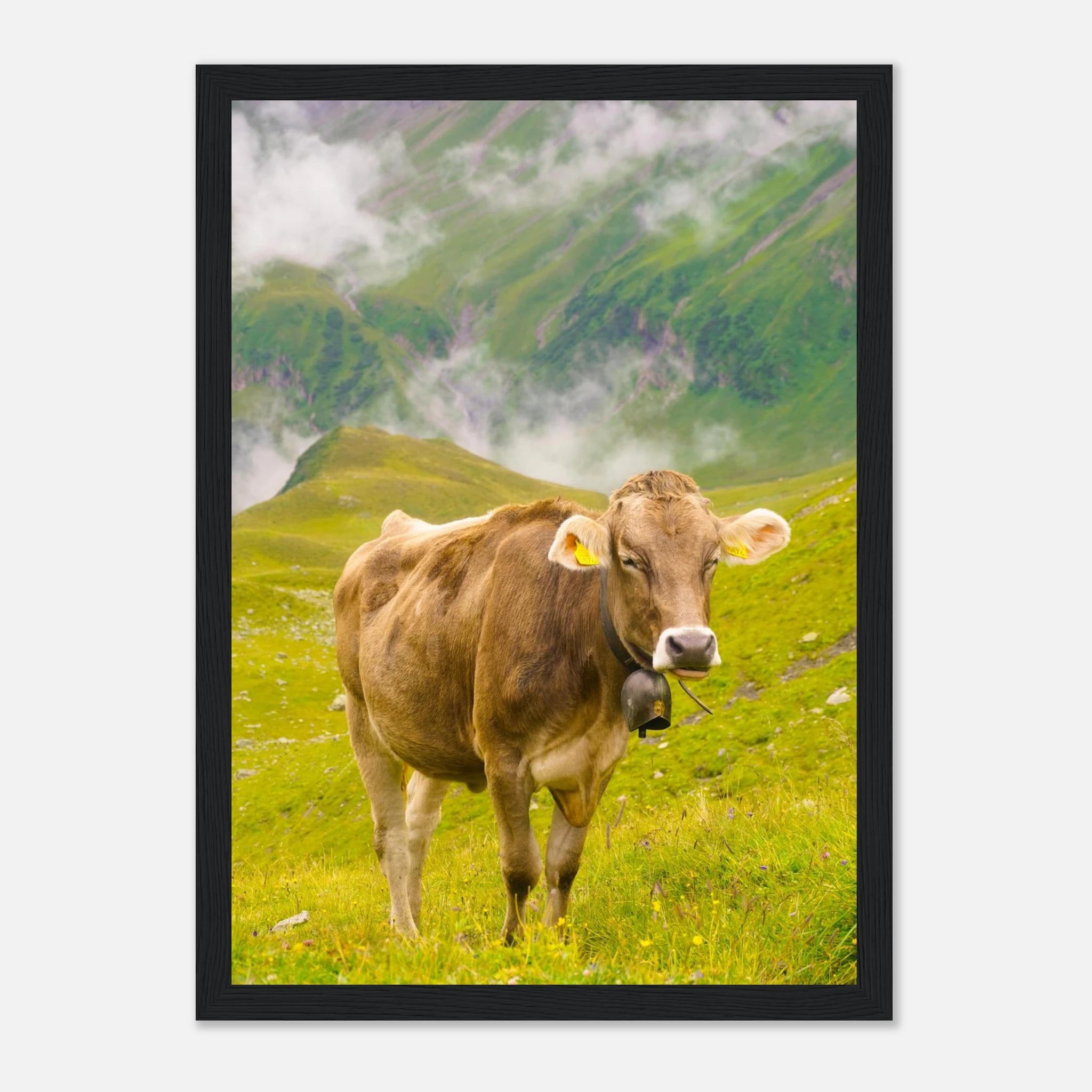 6ea613b6-d5ba-4dc4-85b1-39502a663f06