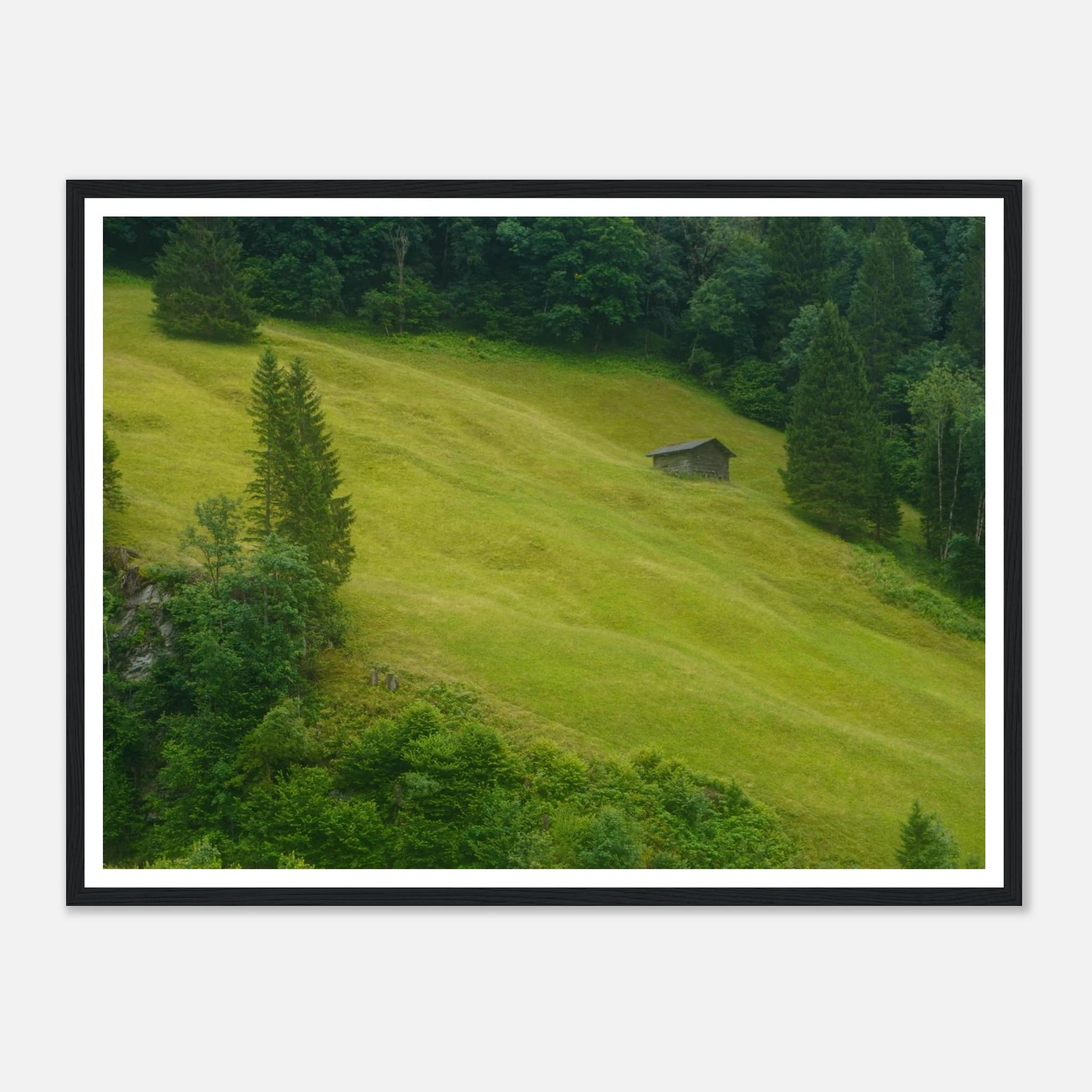 70f33d40-509d-4d6d-8ce7-523ecf15b8cd