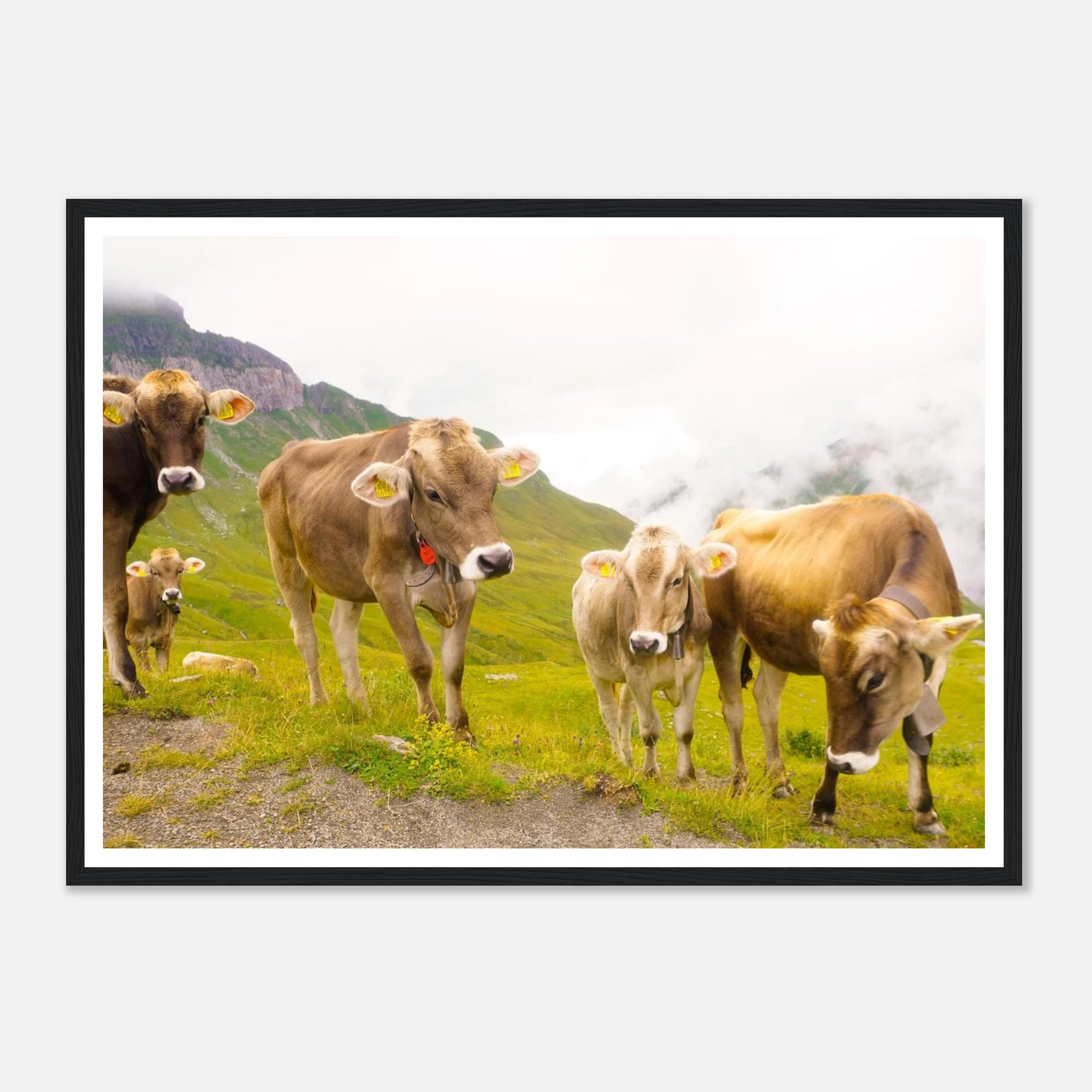 72e29722-62d9-4f24-b4dd-c65f98f21e72