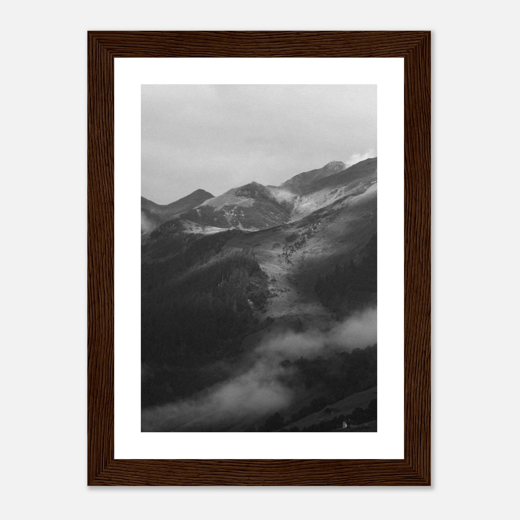 74723714-396f-46c2-bf4e-936d4e18b8f3