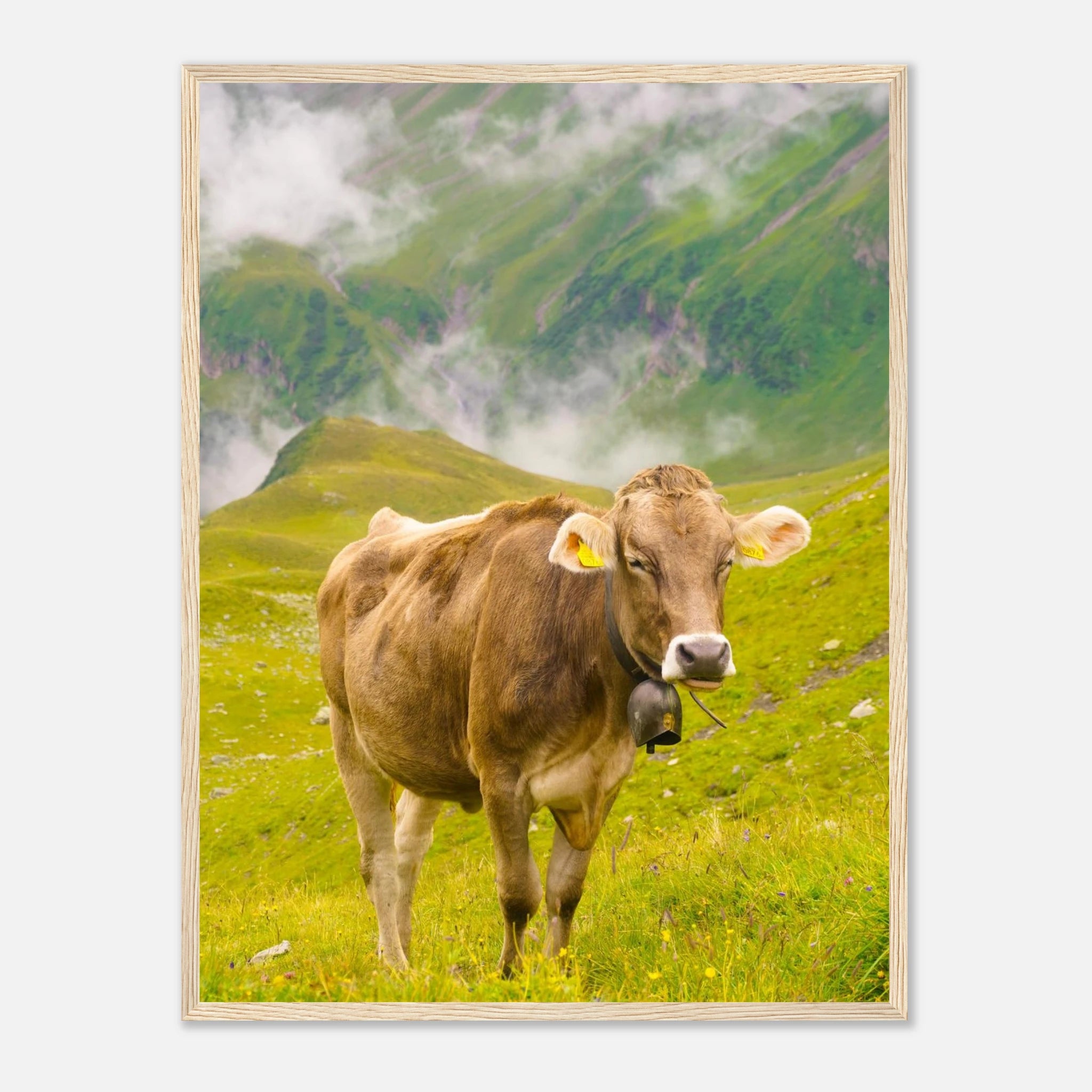 7704971c-642f-474b-a624-54da70536f97