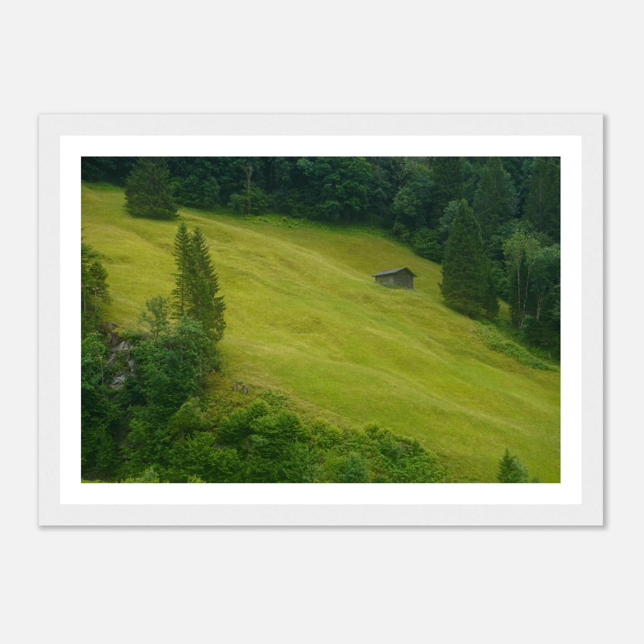 7a9aa9e3-b1df-4bb7-91fd-42dfef178b87