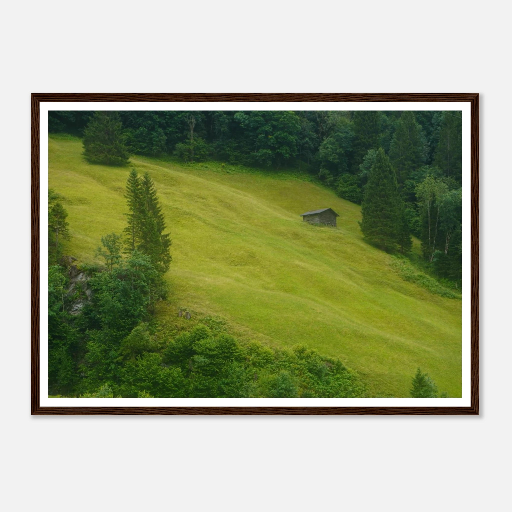 7ad423af-a27d-47d4-bc75-e43619762d2e