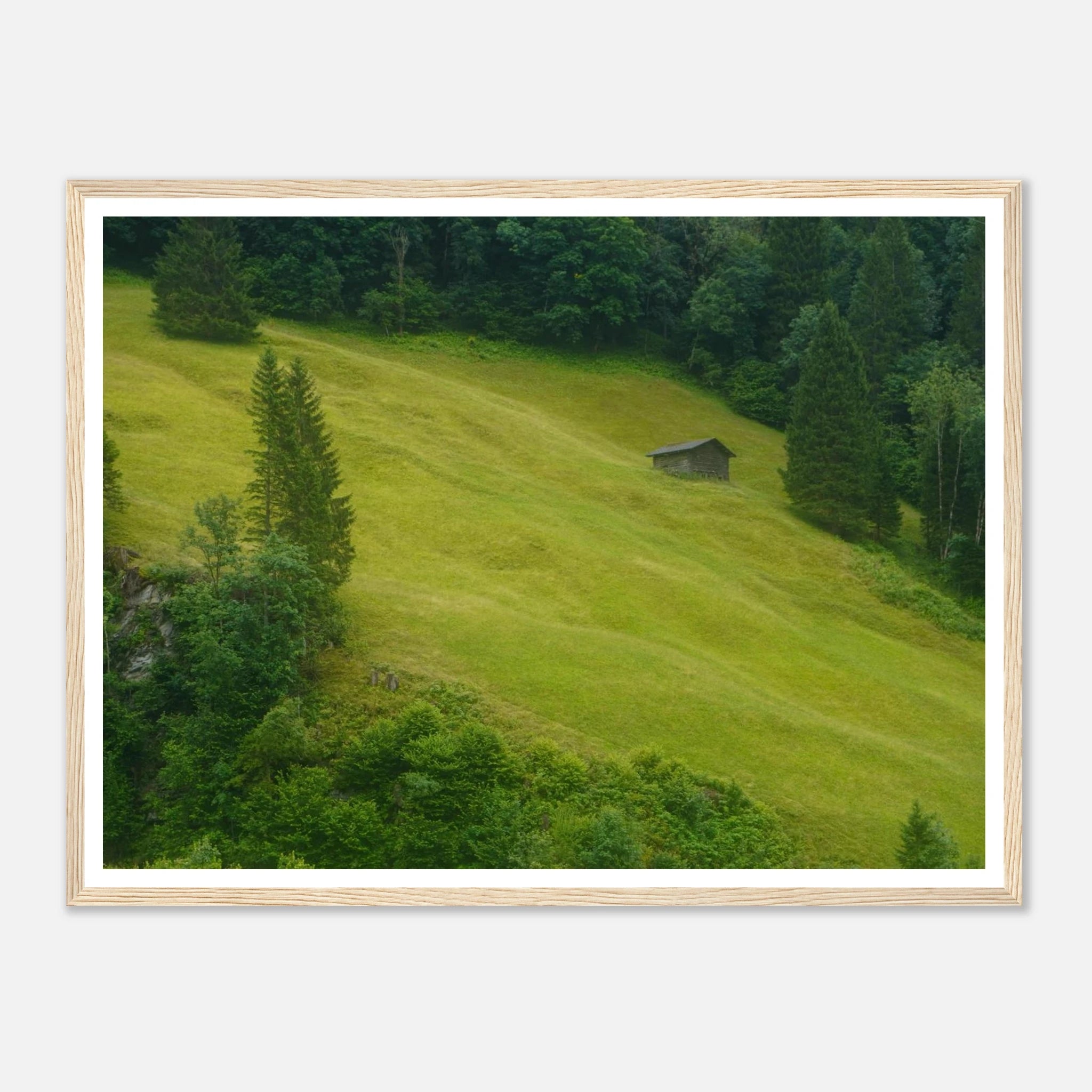 7d6189cf-1928-4305-953a-2f2fef274038