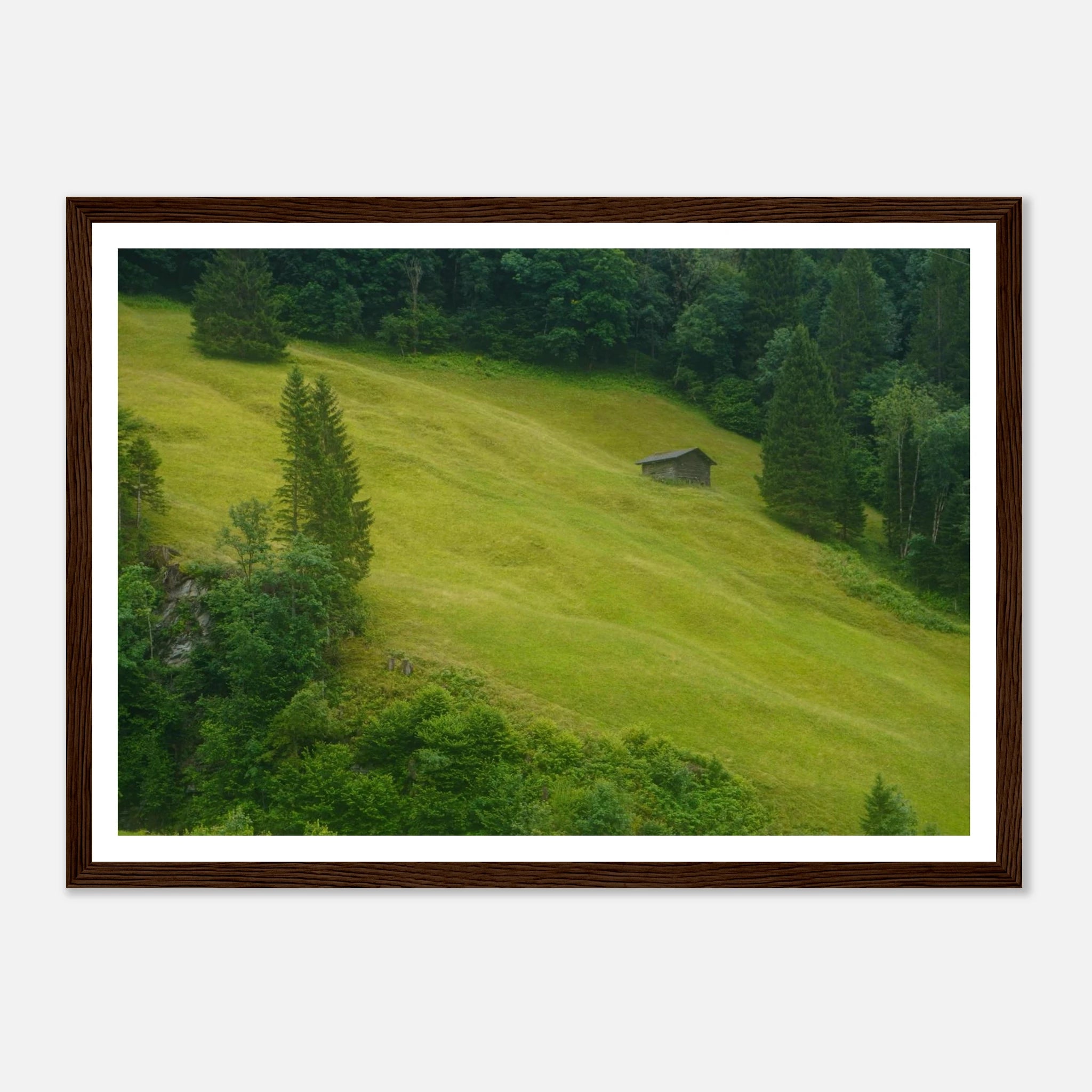 7eb30666-78c5-4180-b8bb-c2148535b055