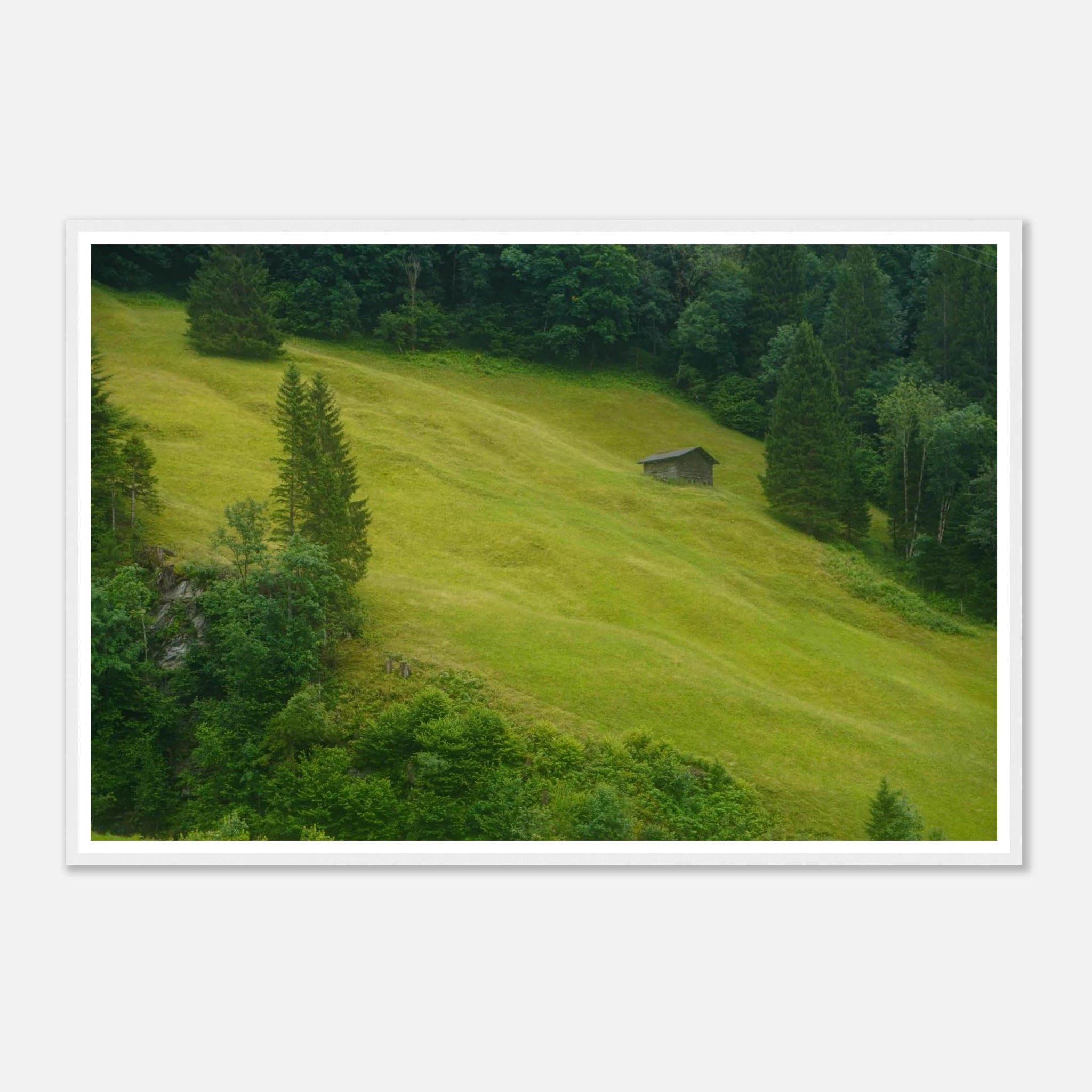 7fe39fd1-4451-4a4f-a8e5-c17eb4c7f8f4