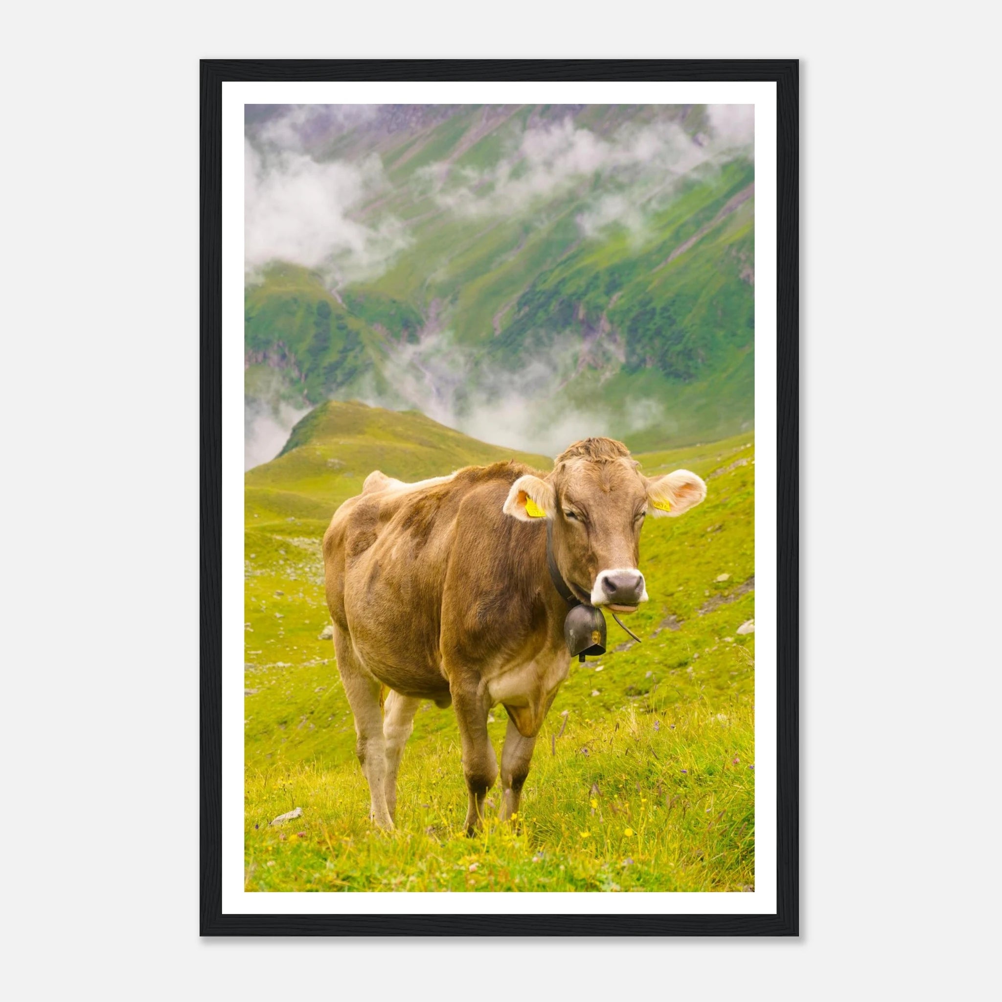 86d4eb28-b6de-467a-821a-bd0664b510ce