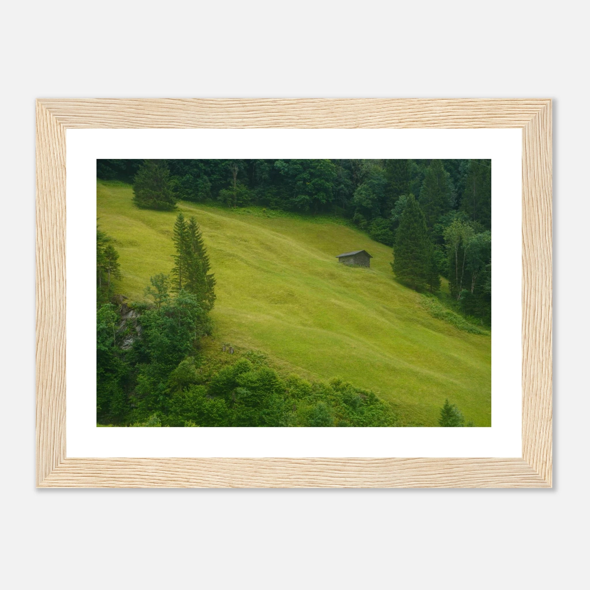 8ad1815b-1e1c-4ac2-a846-1cf732f8ec68