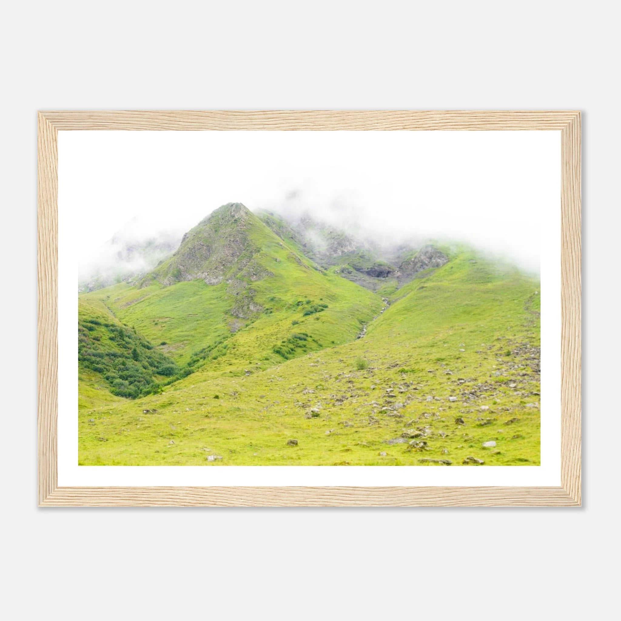 8d7c6fe8-8018-4c5b-8626-f51d9f2c2bfd