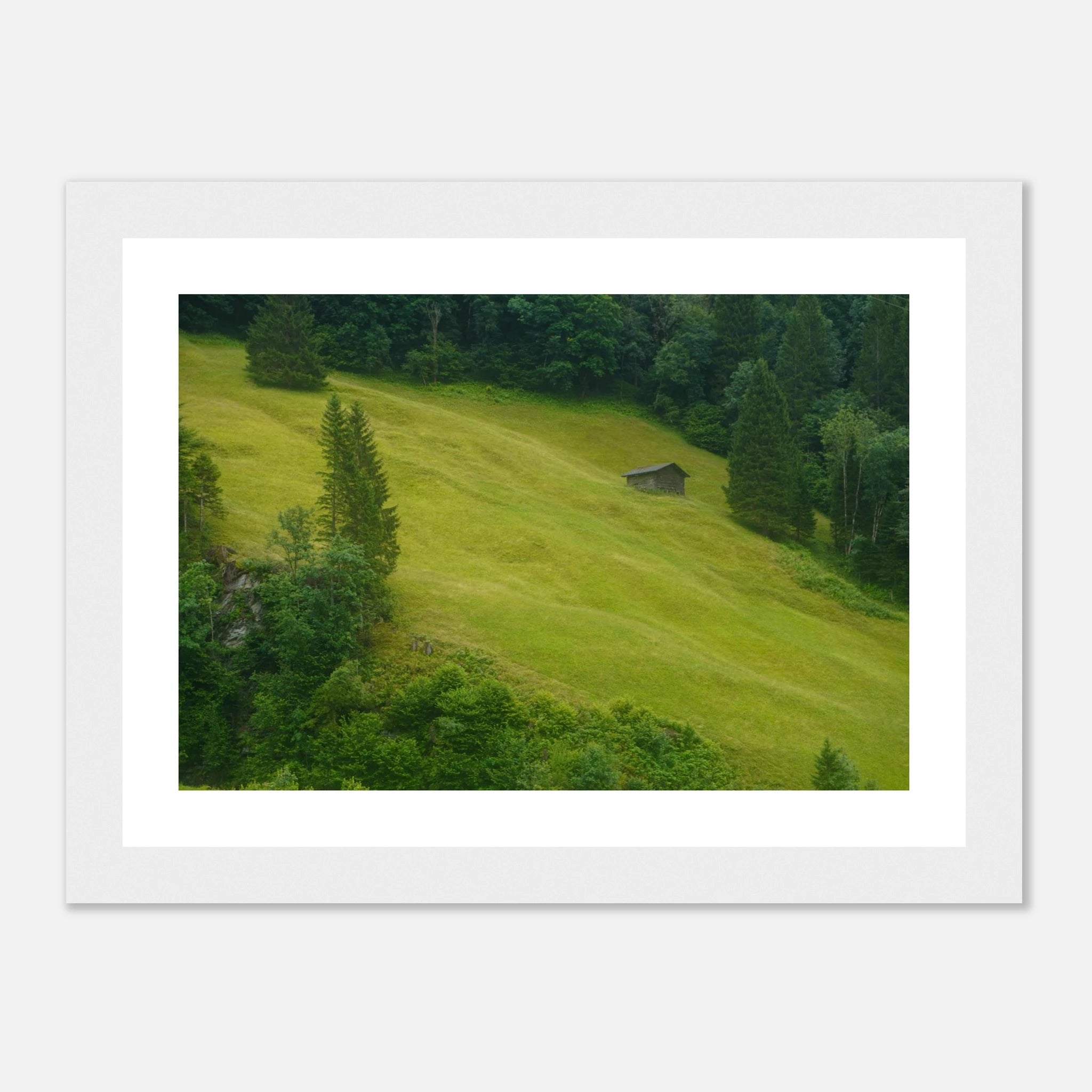 94a634f5-387e-44d0-9be5-a4ecce34f90e