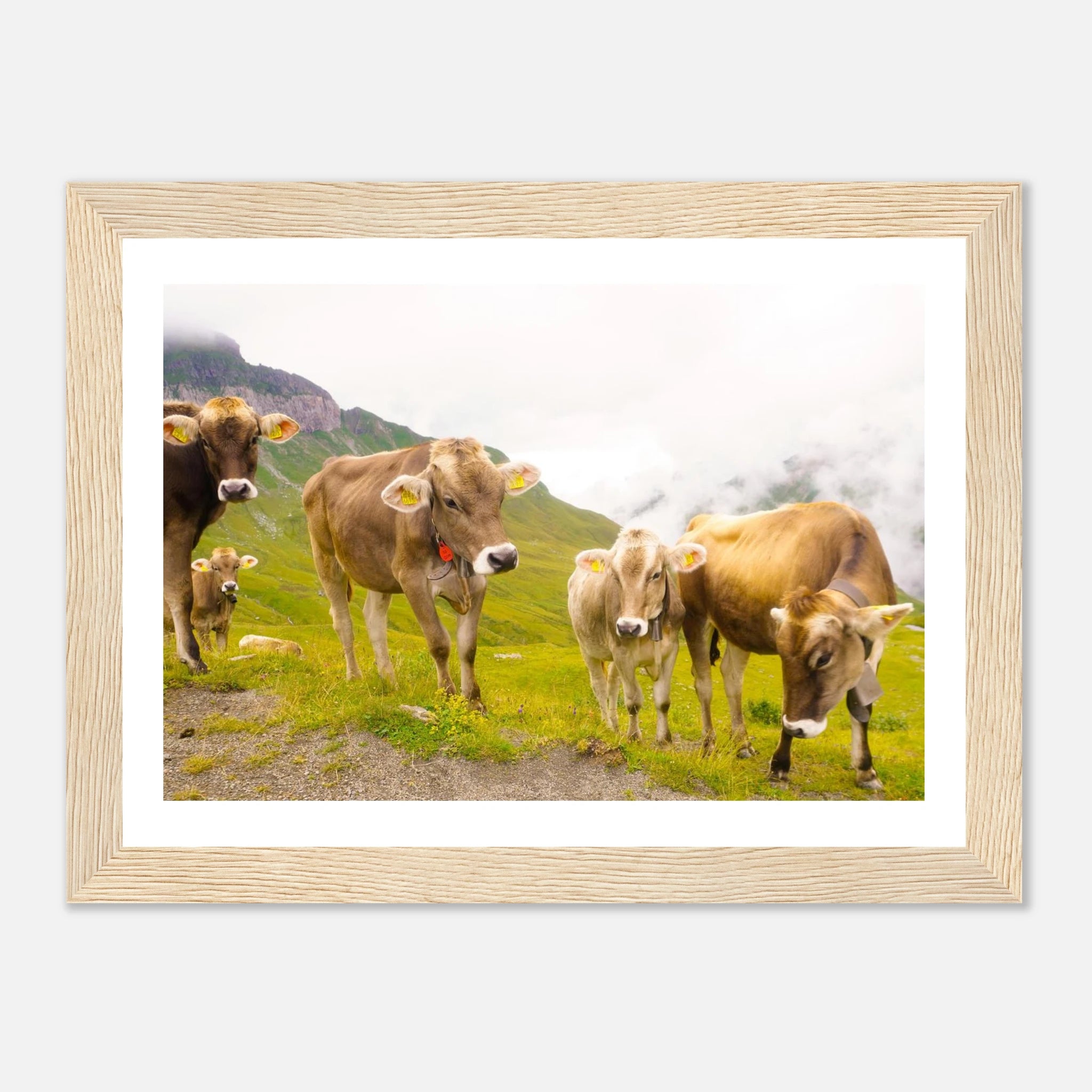 9b999187-b726-4ef6-b945-e4bf27cbb1c3