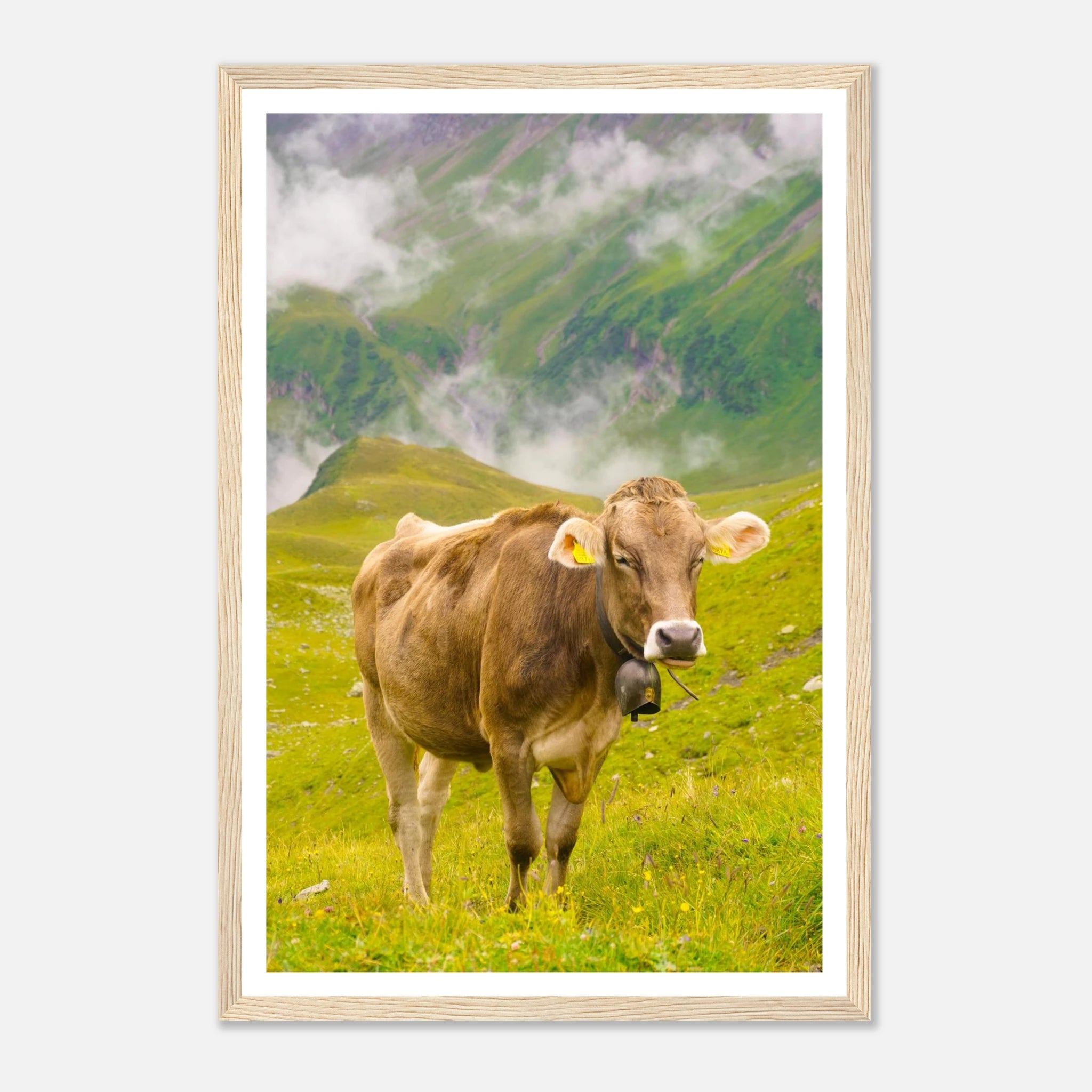 a0148ad0-e15e-43bf-914c-ba50179b8862