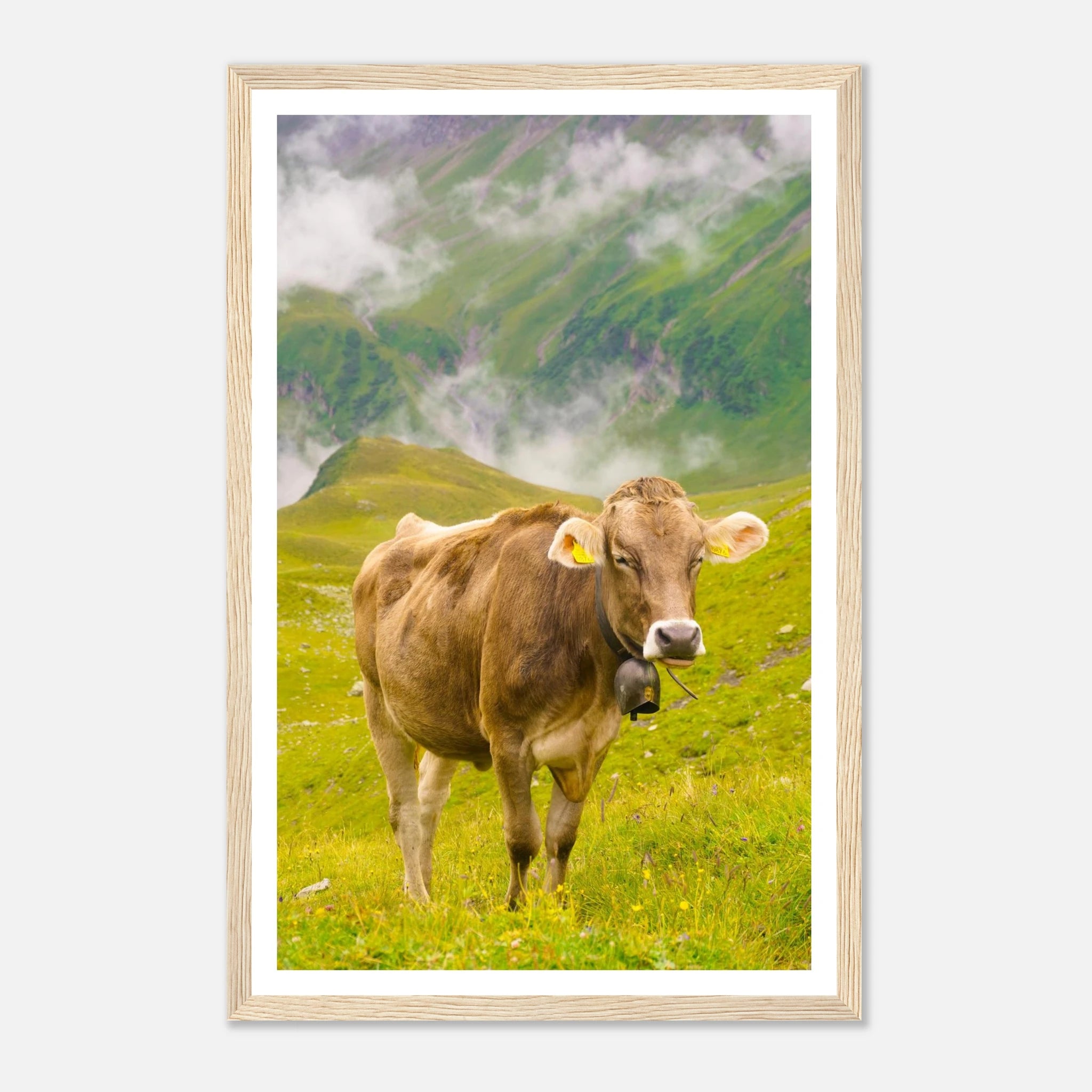 a082b87f-92fe-4123-889f-c64ed2f8f696