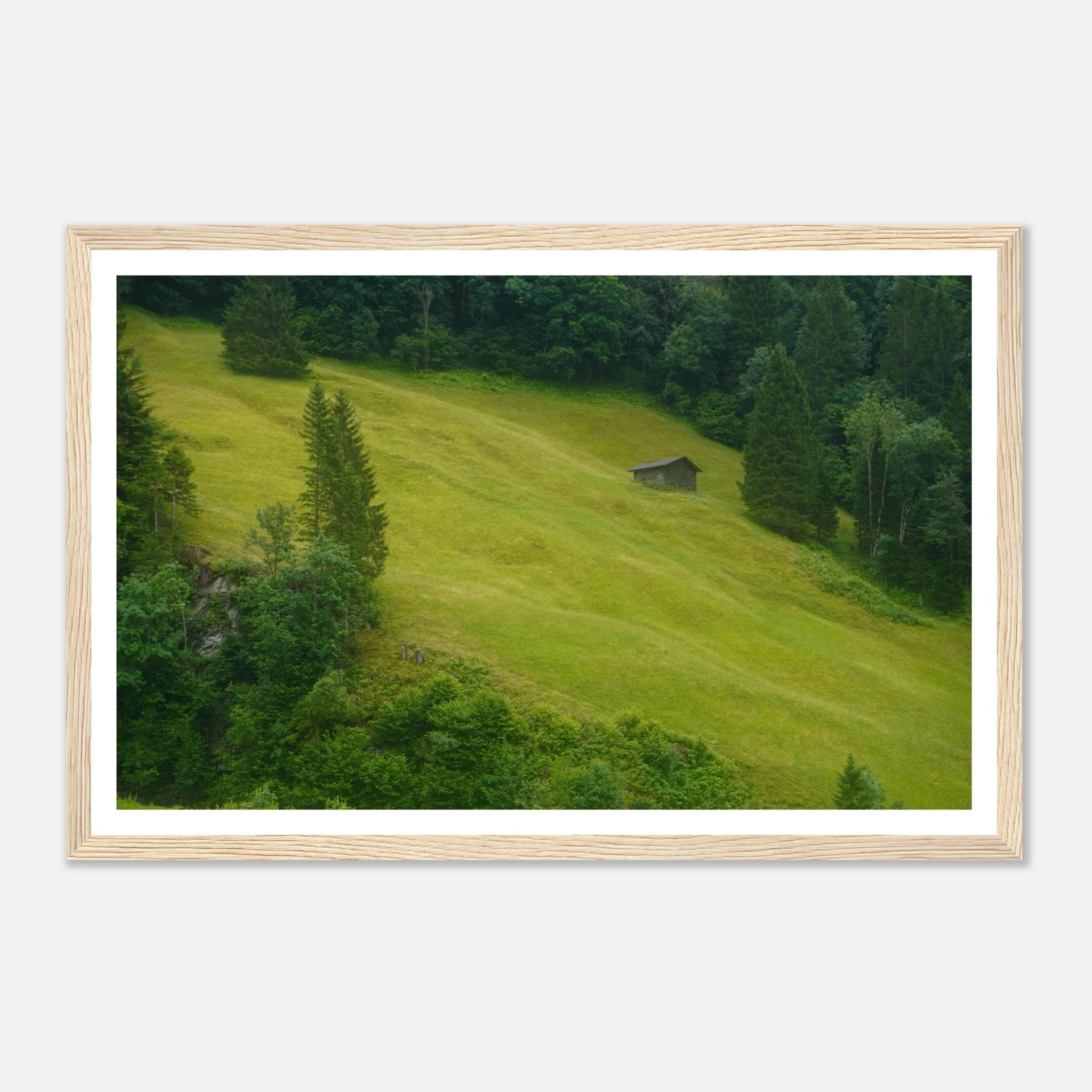 a1977bf5-f3c7-479a-94ba-2a1051cbd02f