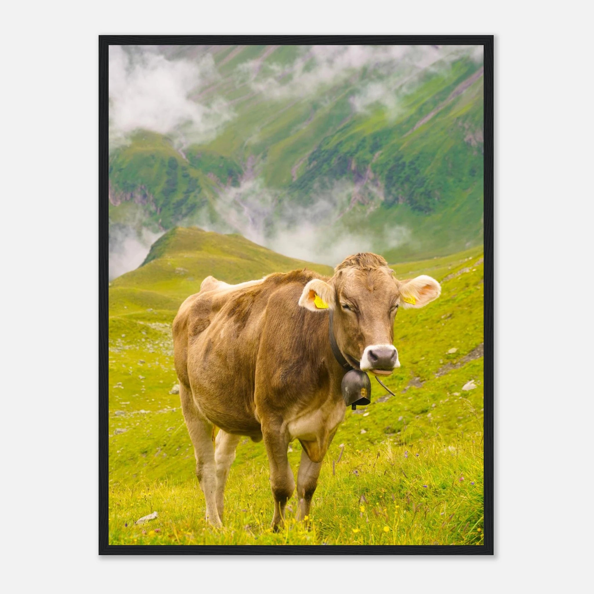 a1bc0c7e-94cd-4d4d-b7c3-1c53508cbe12