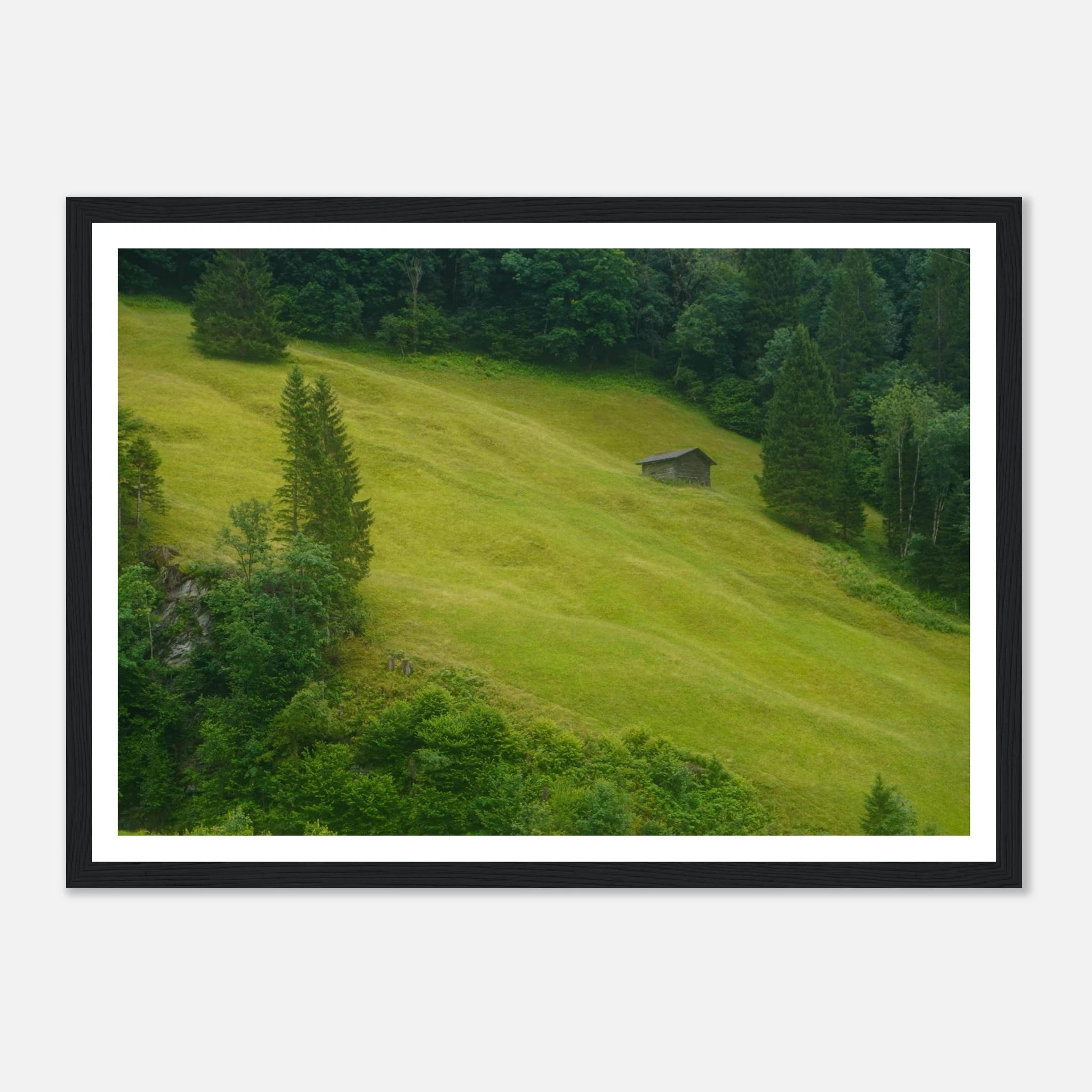 a1c23698-4f2d-4b2b-92ea-59c805353e5d