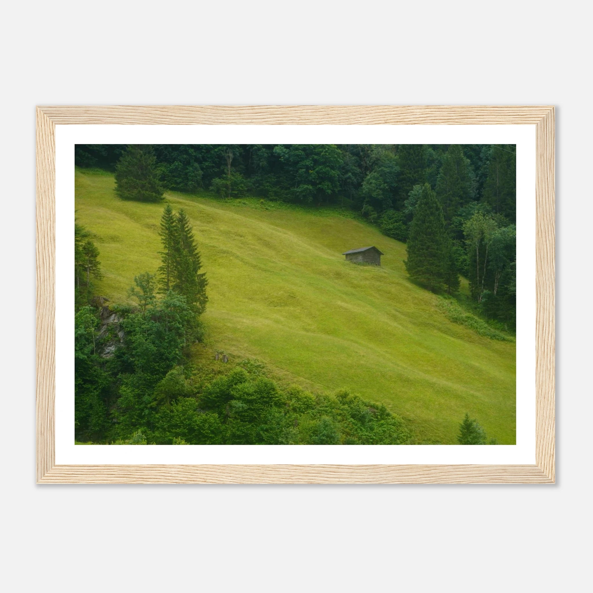 a669ad48-7515-45ac-846a-34e5c8c00183